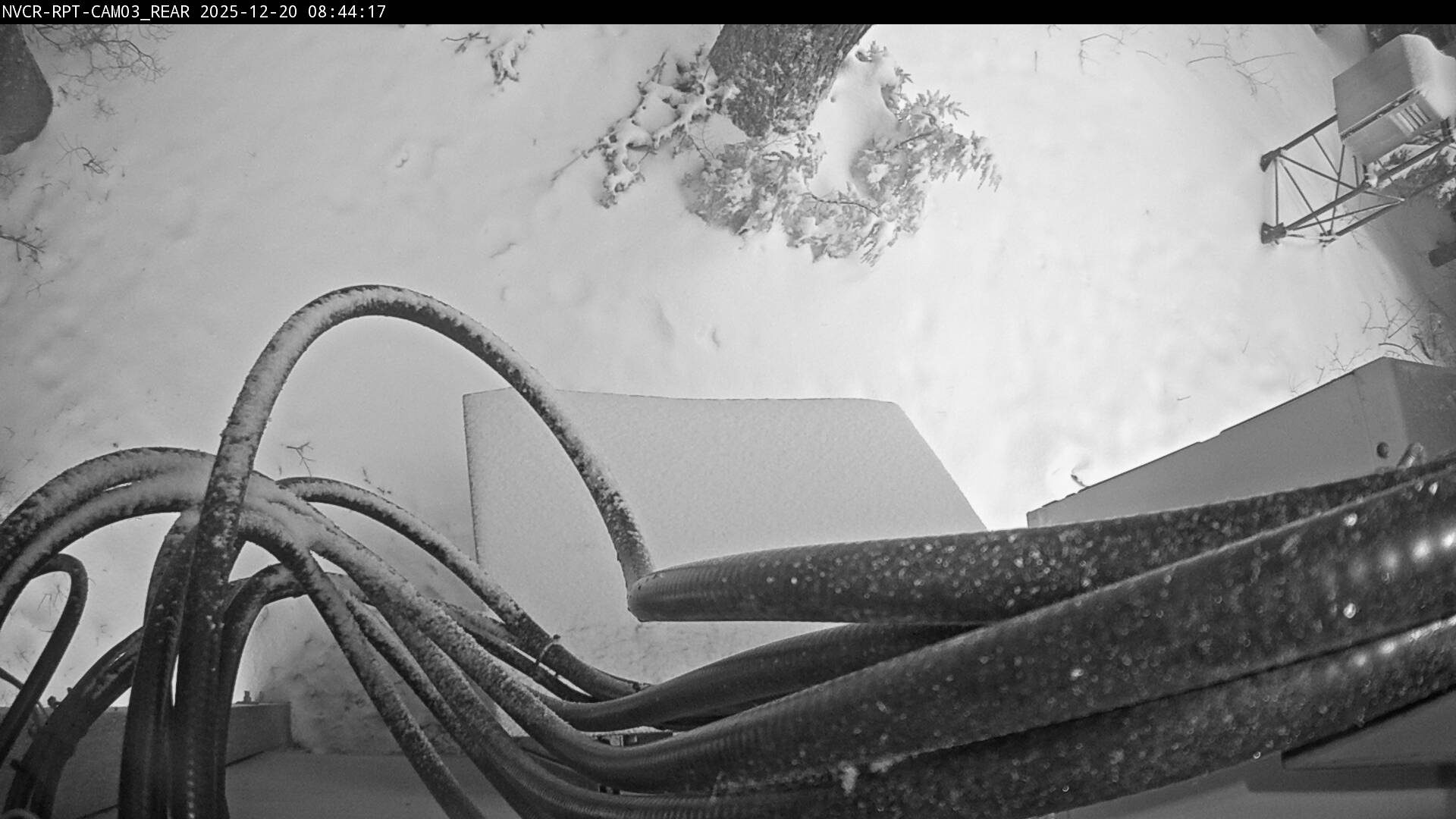 Web Cam History Image - 36