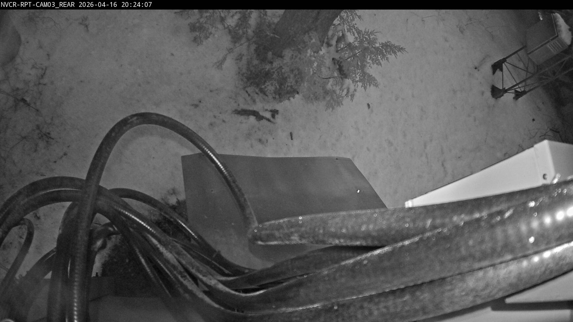 Web Cam History Image - 36