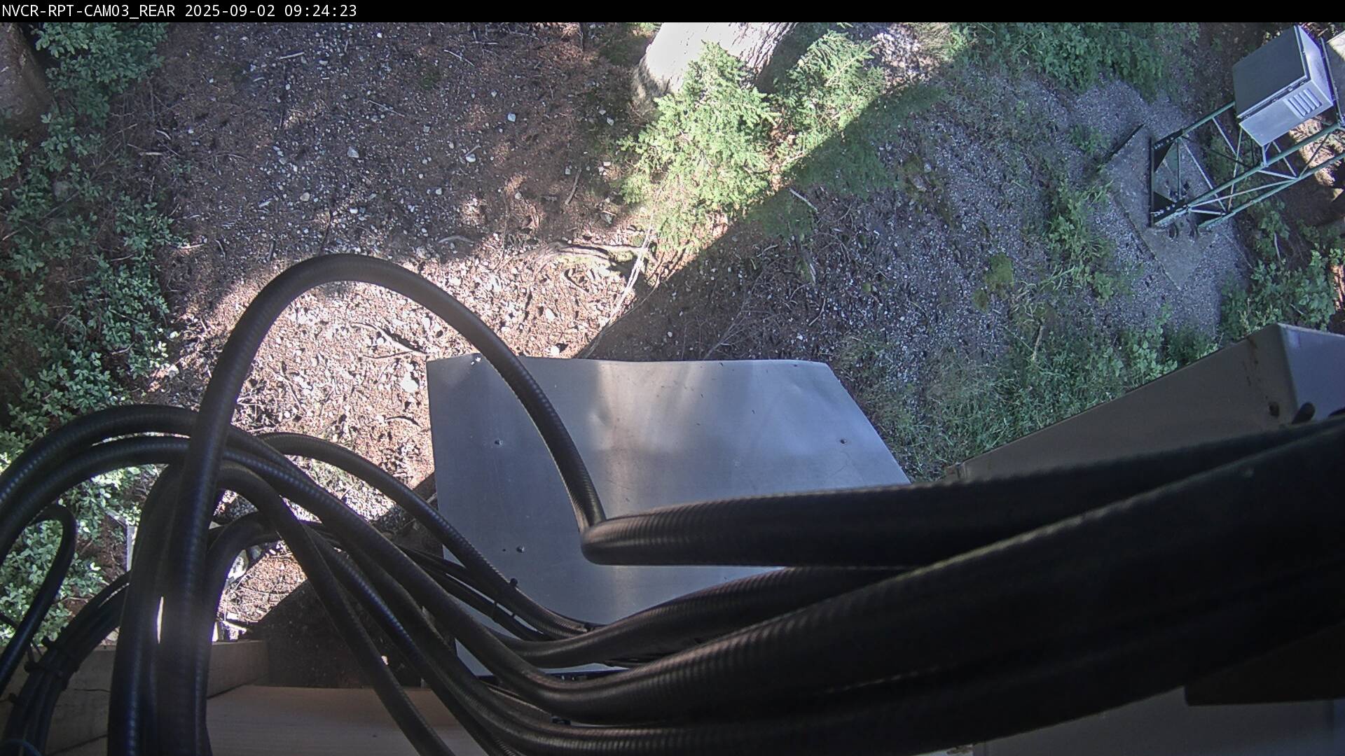 Web Cam History Image - 351