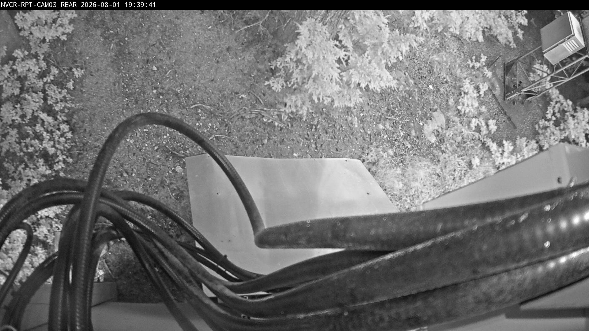 Web Cam History Image - 351
