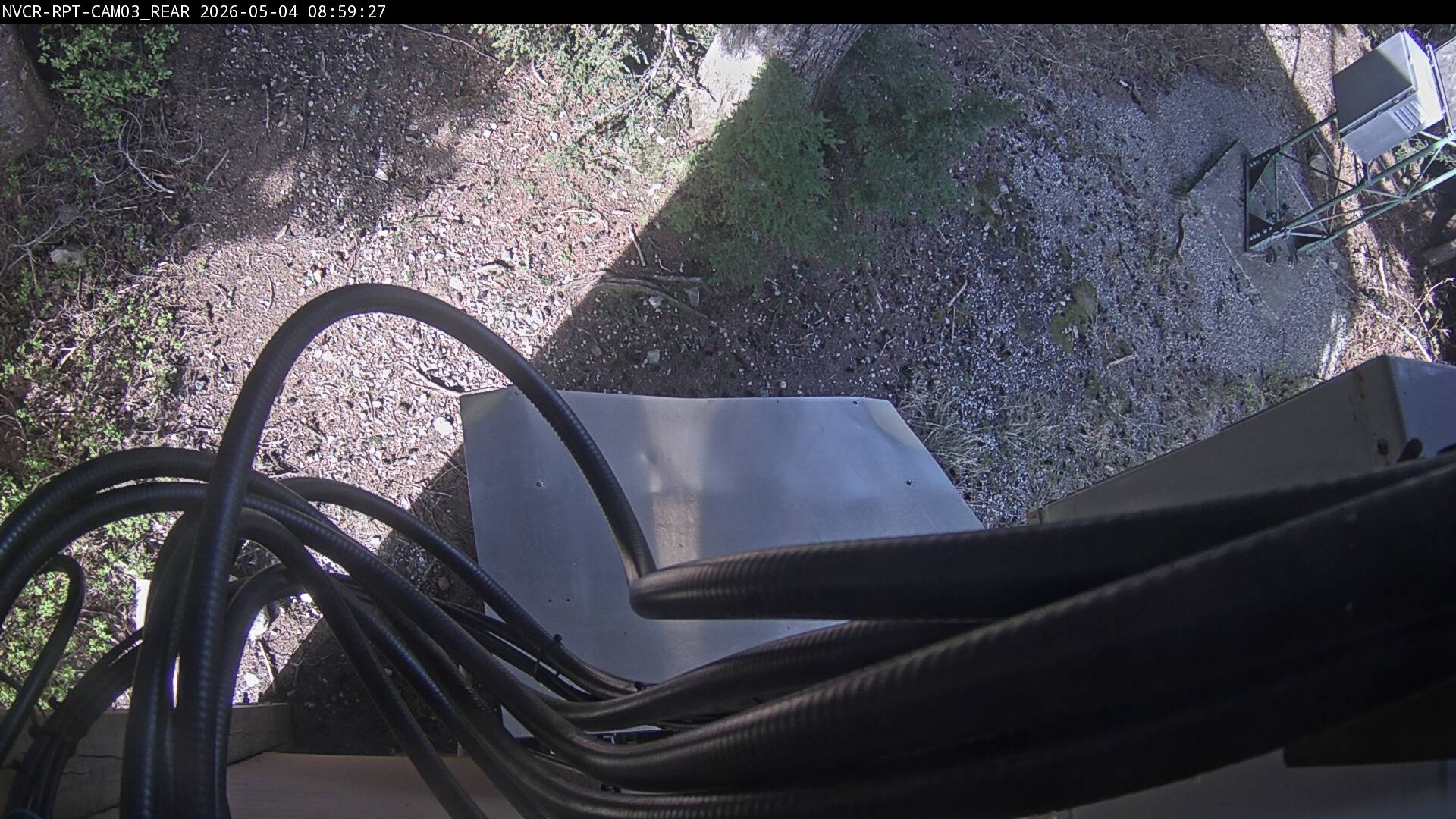 Web Cam History Image - 352