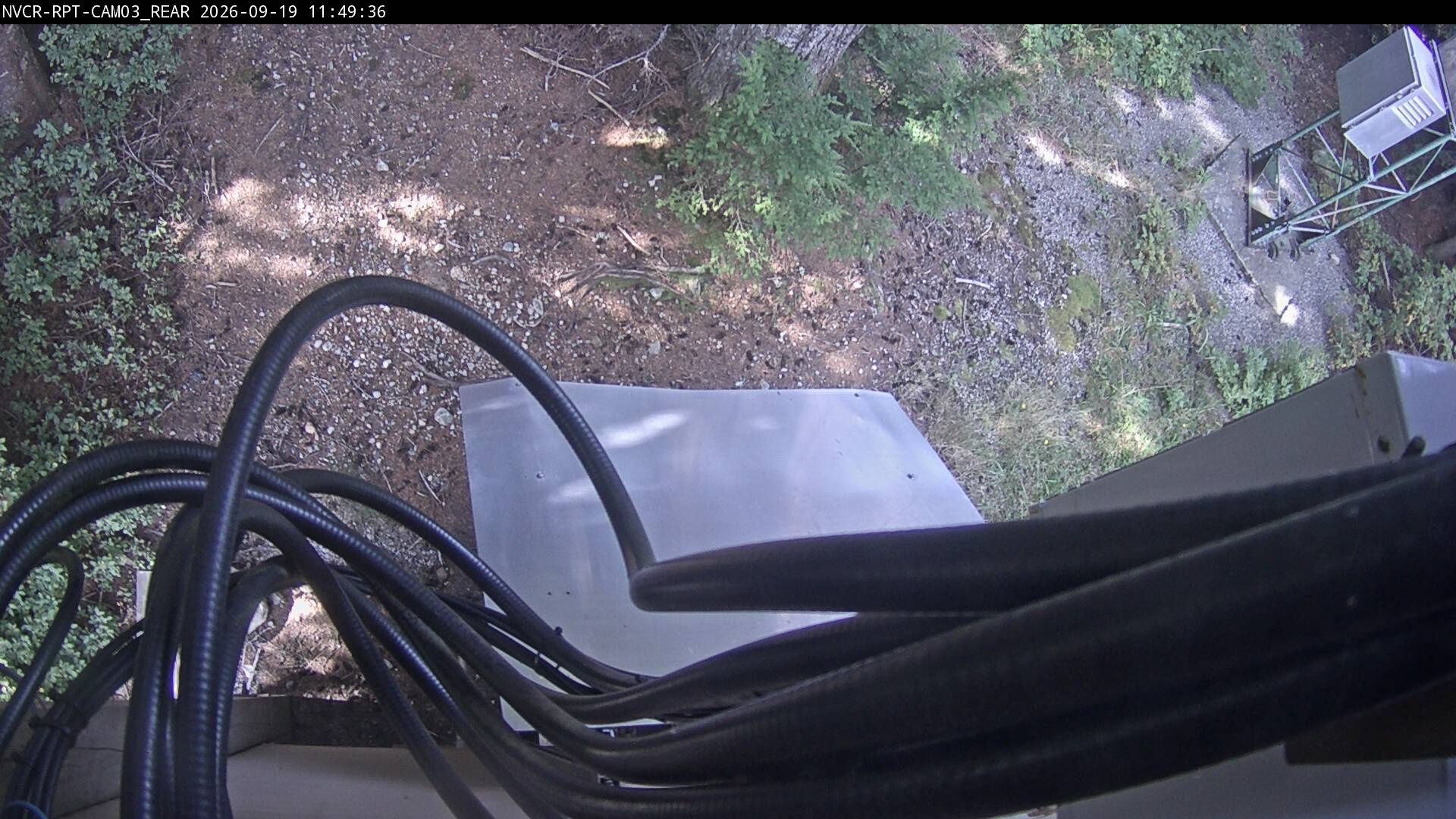 Web Cam History Image - 352