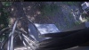 Web Cam Image - Sun, 05/31/2026 1:54pm PDT