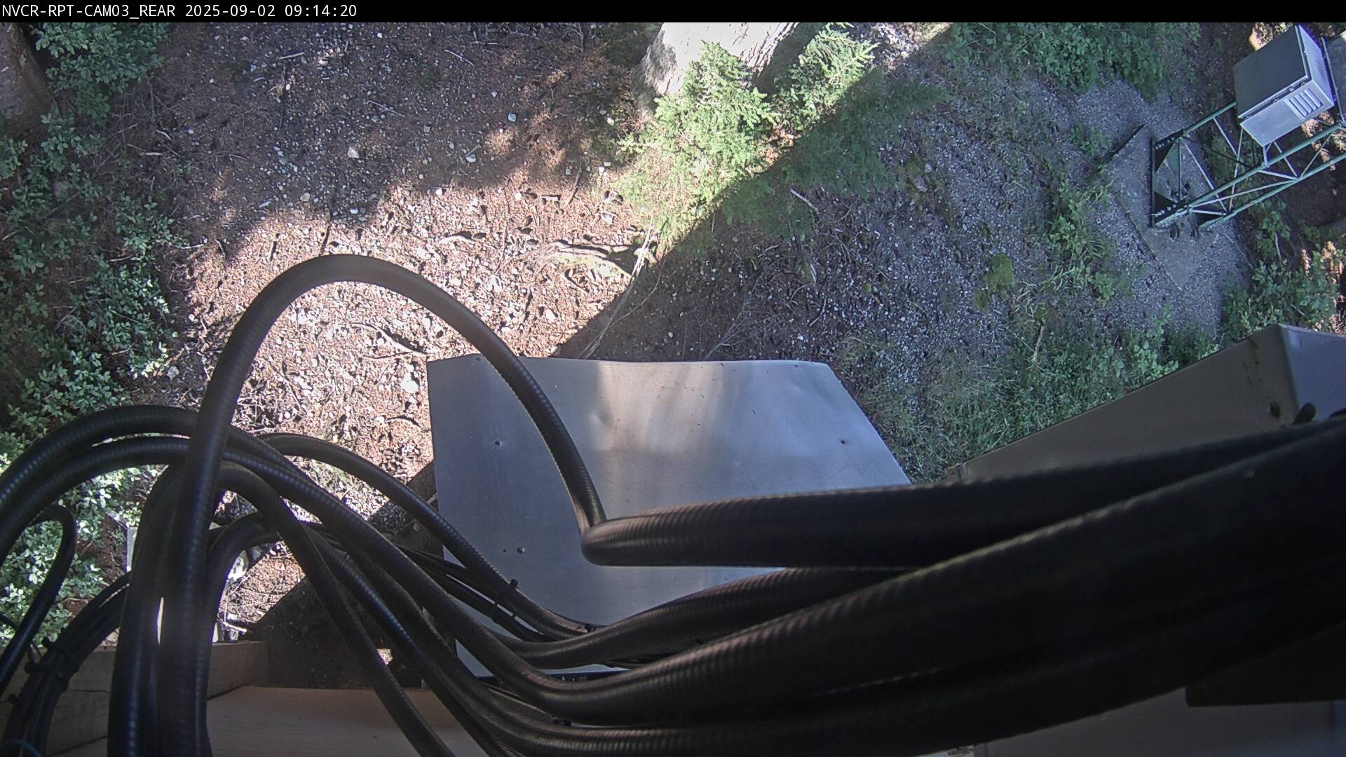 Web Cam History Image - 353