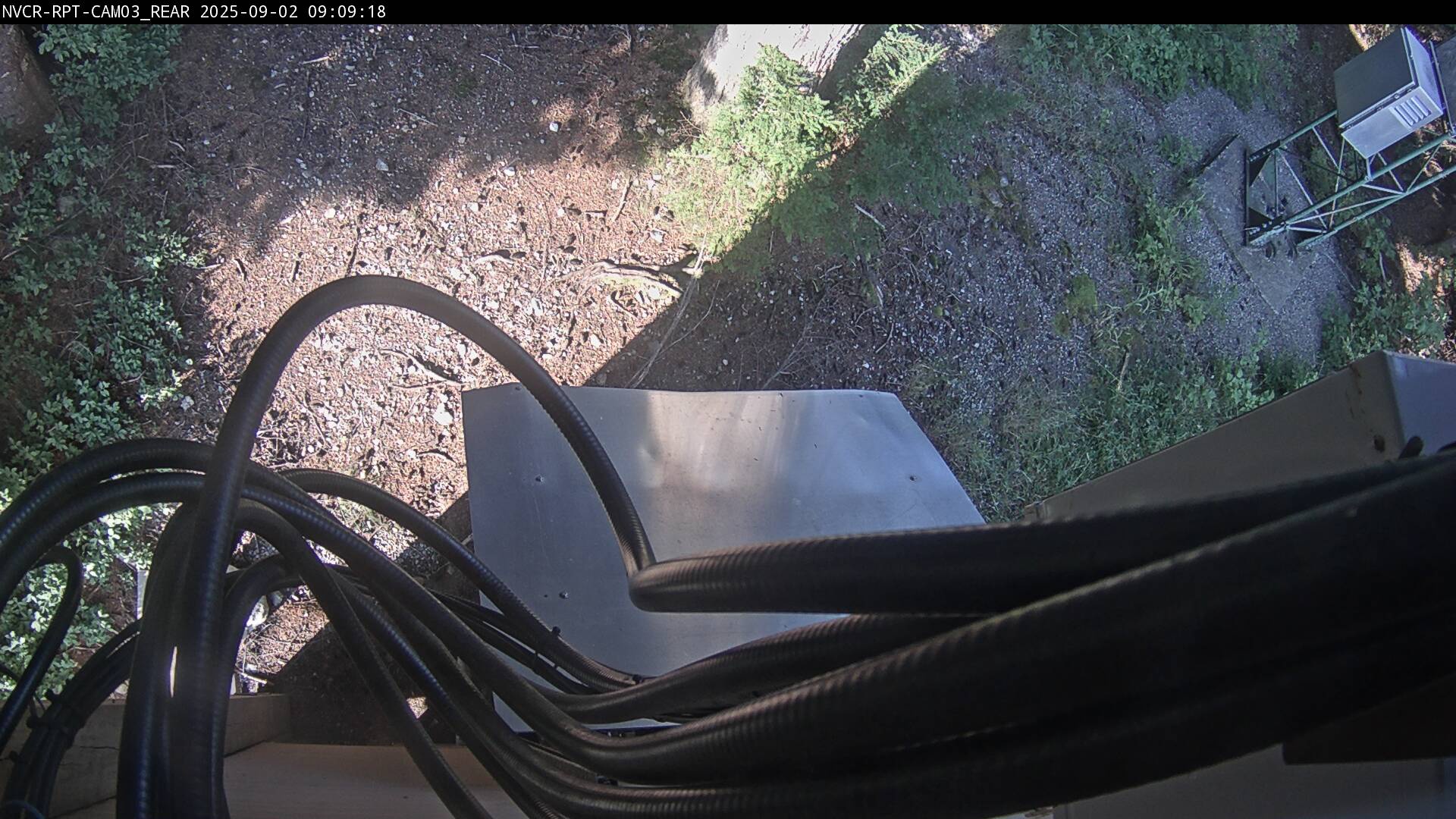 Web Cam History Image - 355