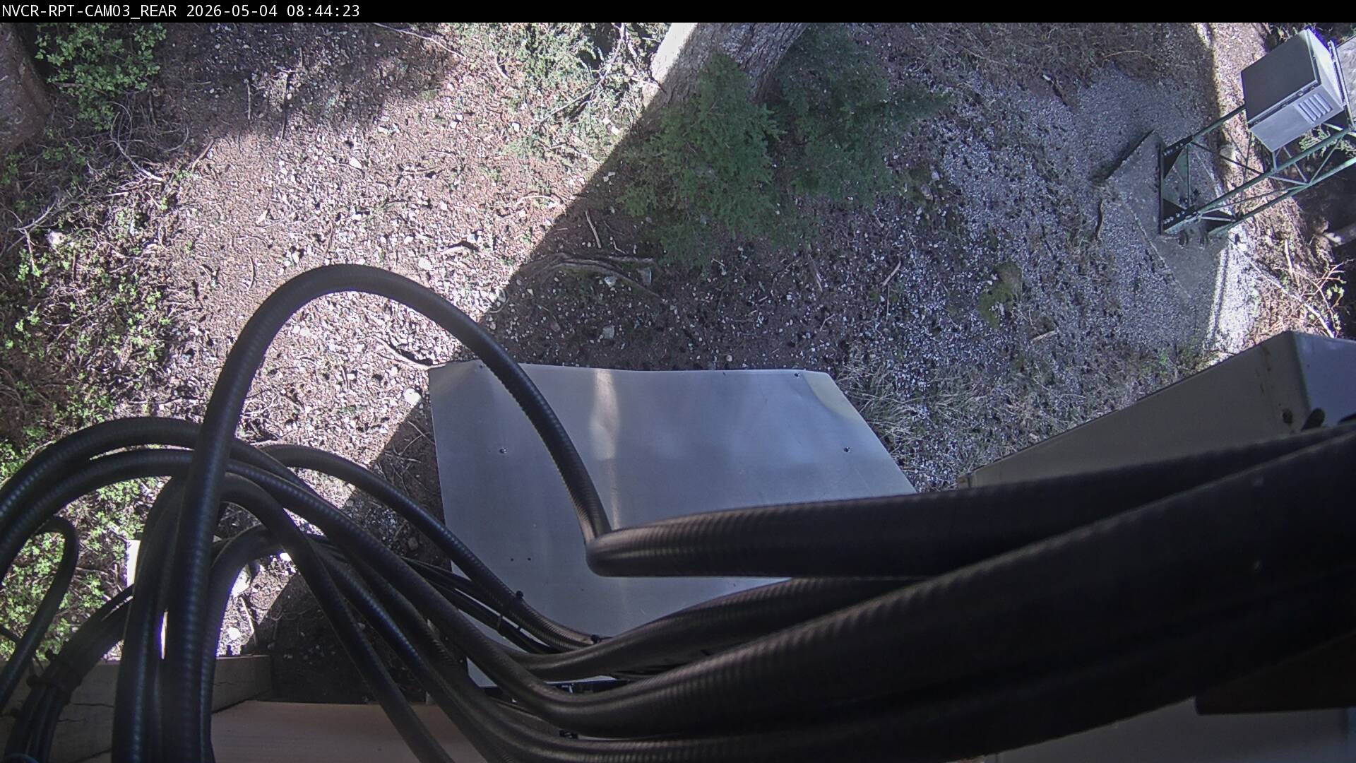 Web Cam History Image - 355