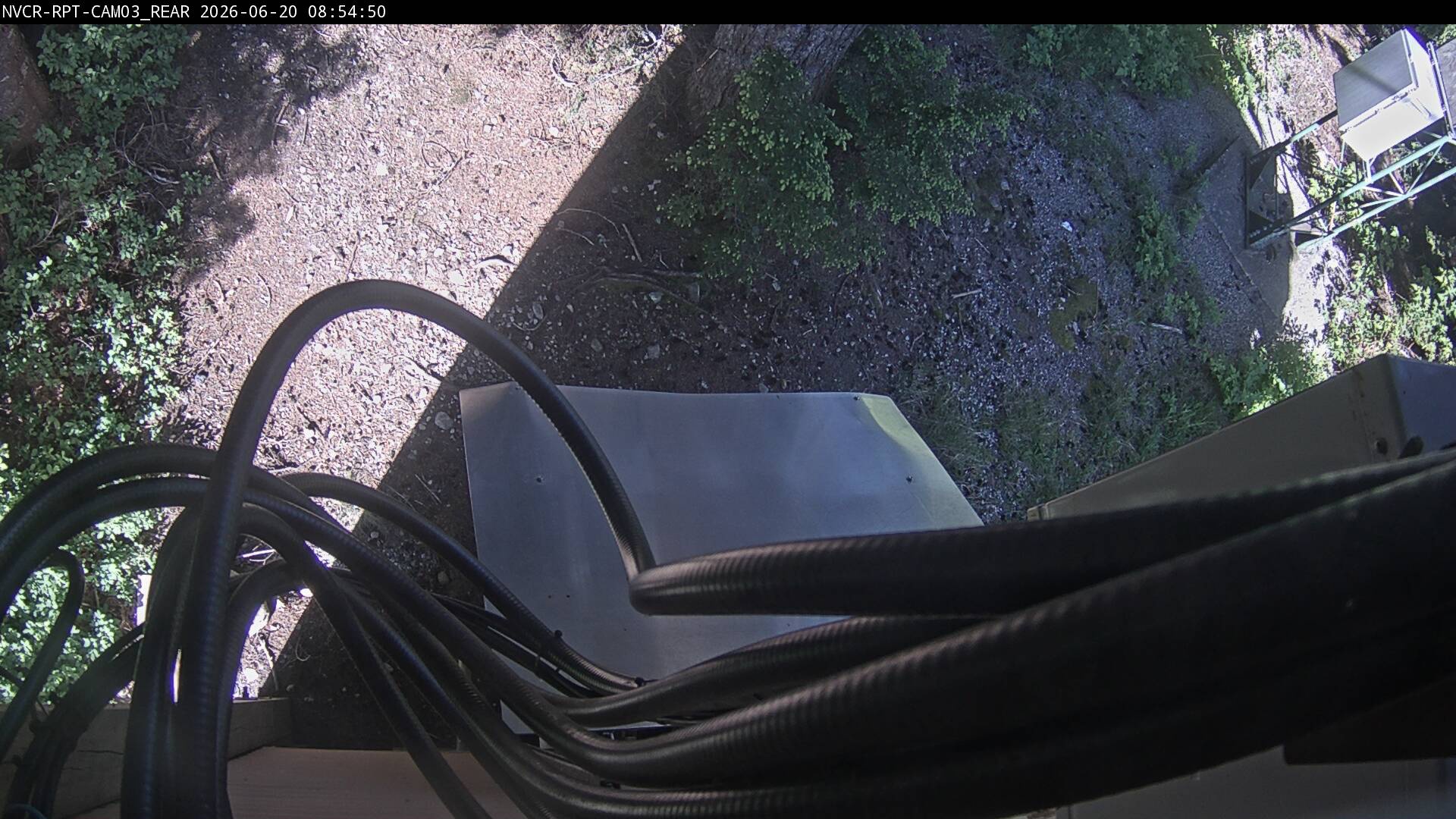 Web Cam History Image - 355