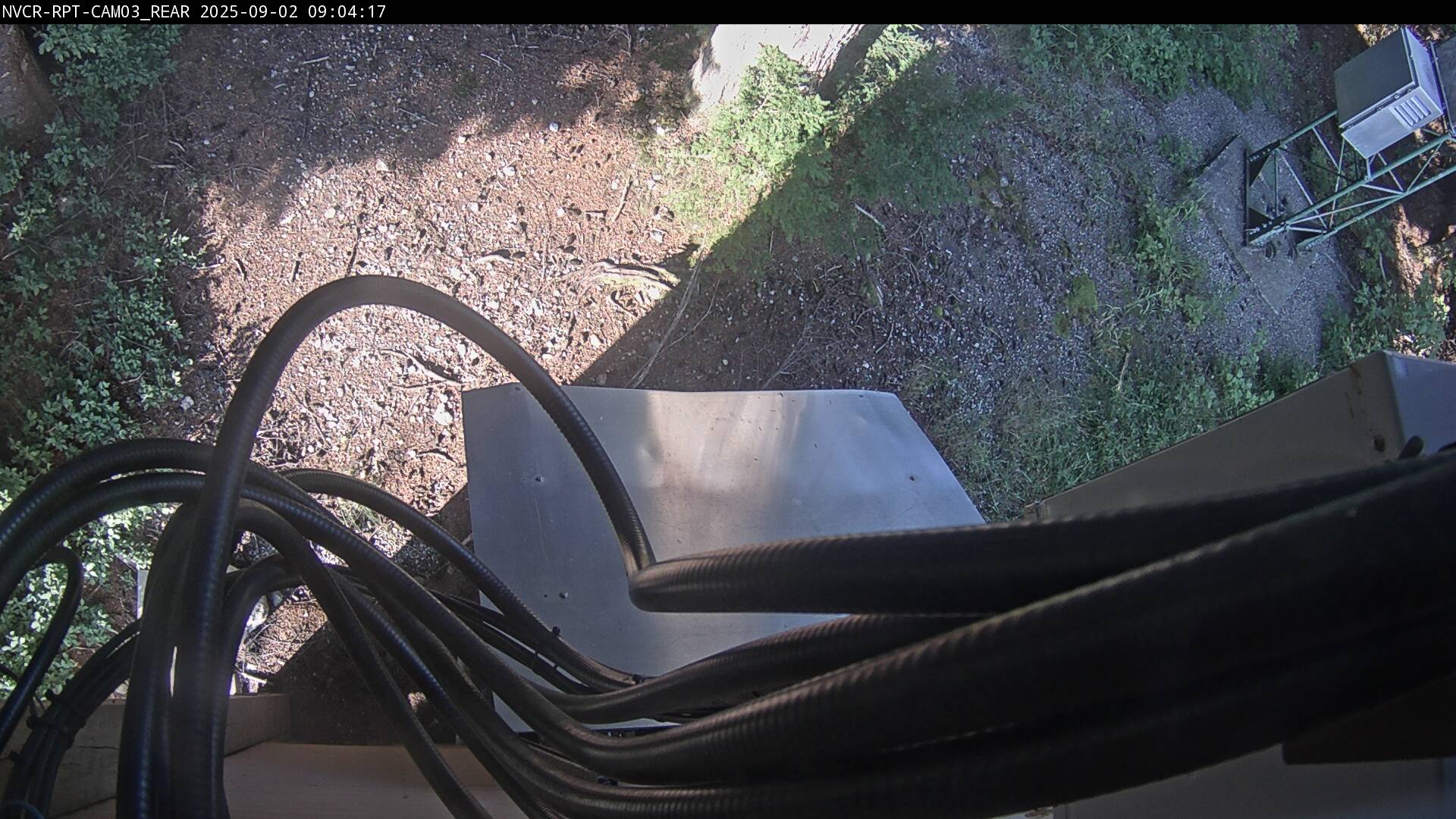 Web Cam History Image - 356