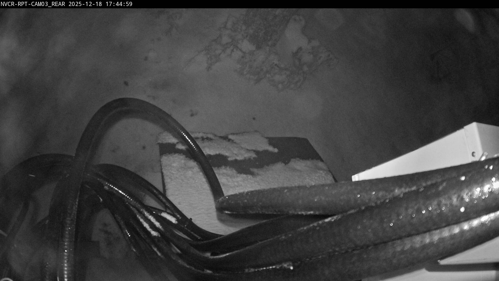 Web Cam History Image - 356