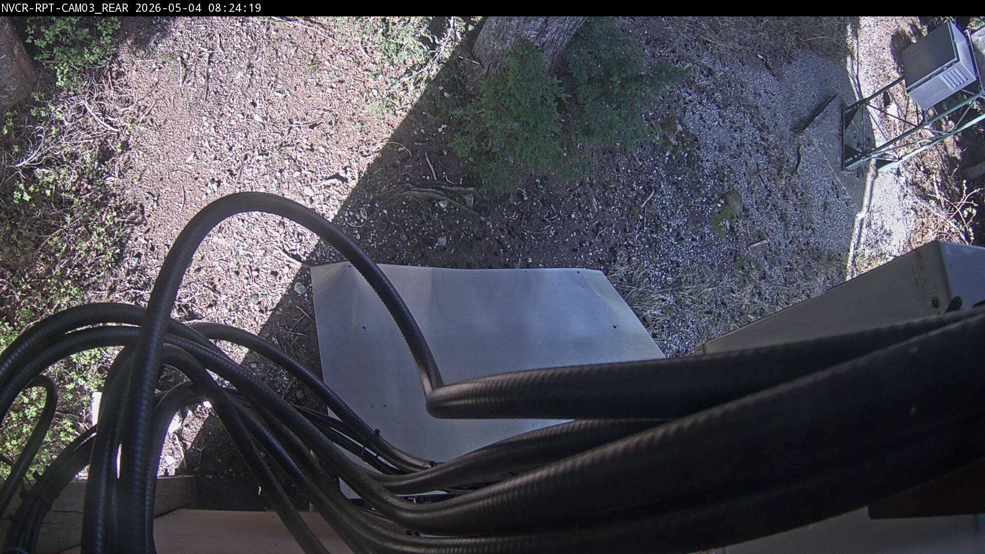 Web Cam History Image - 358