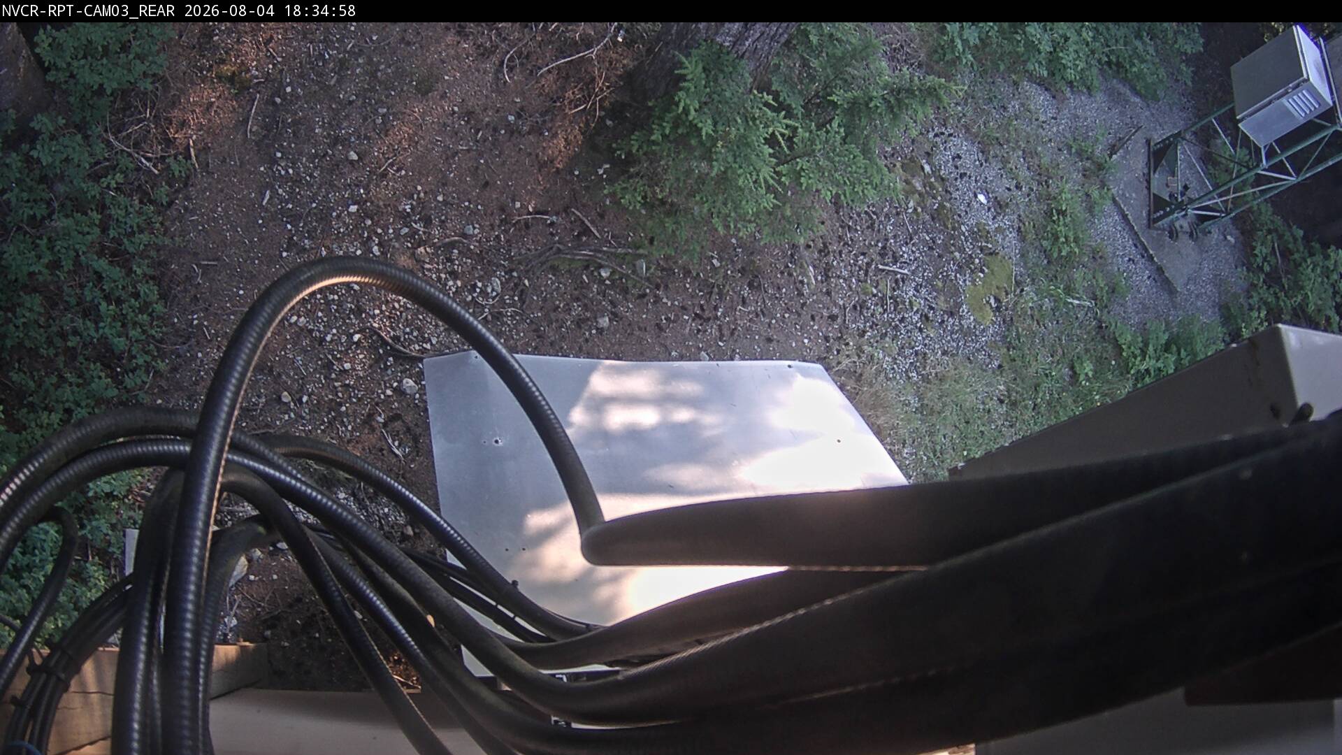 Web Cam History Image - 358