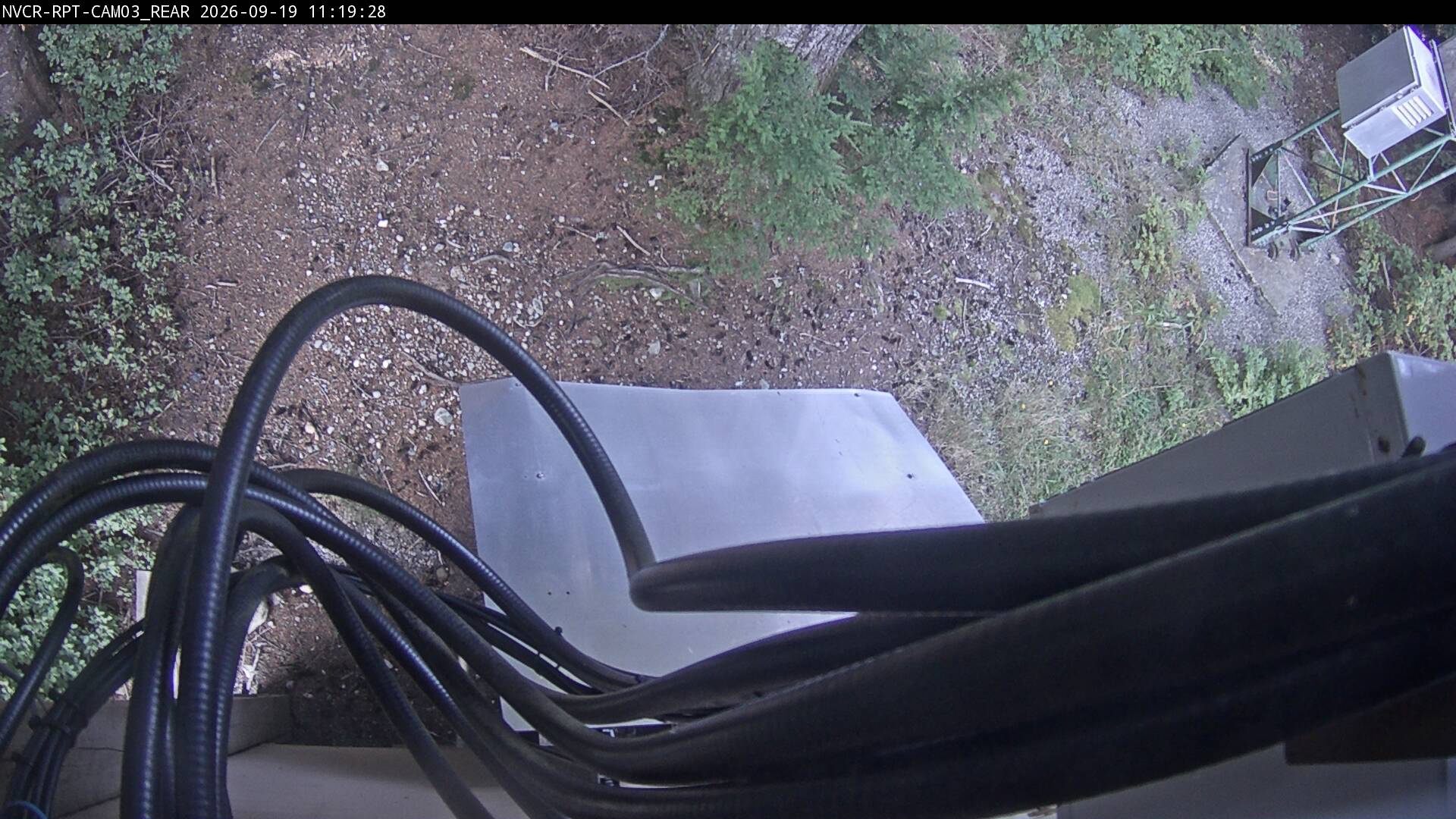 Web Cam History Image - 358