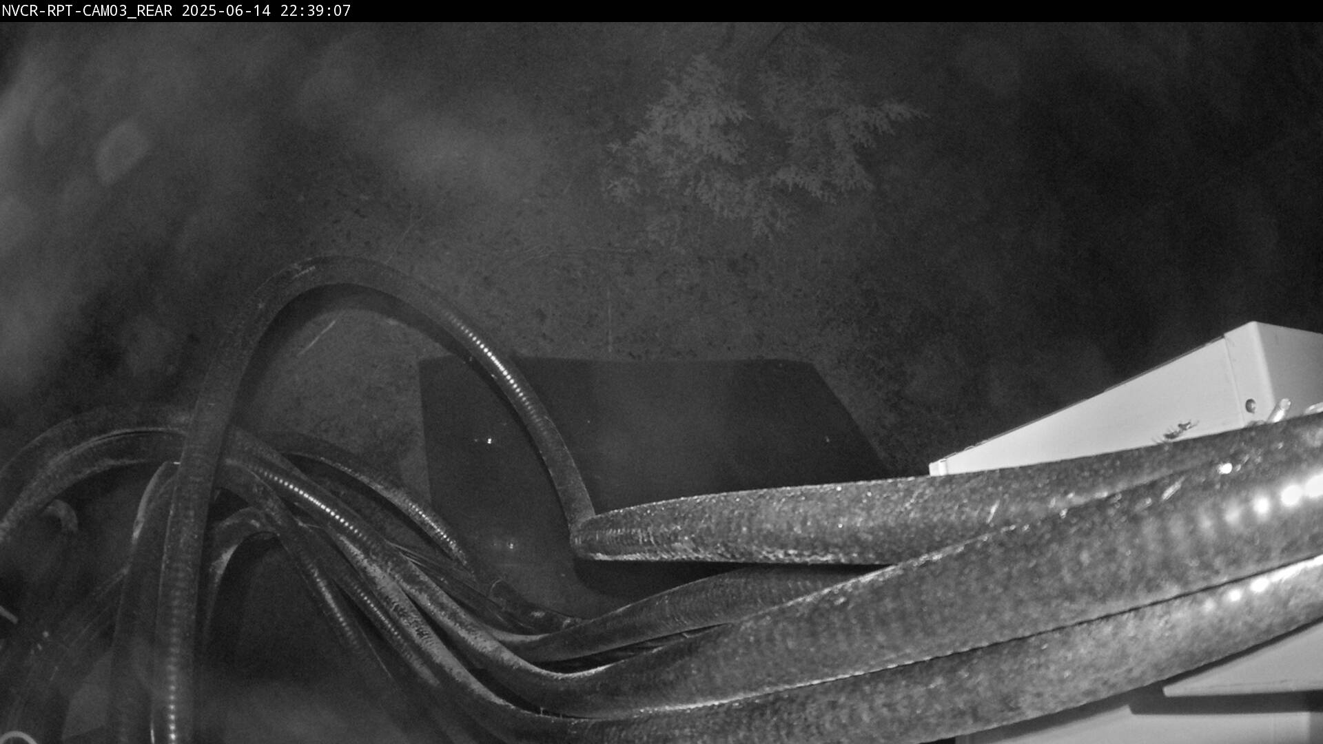 Web Cam History Image - 359