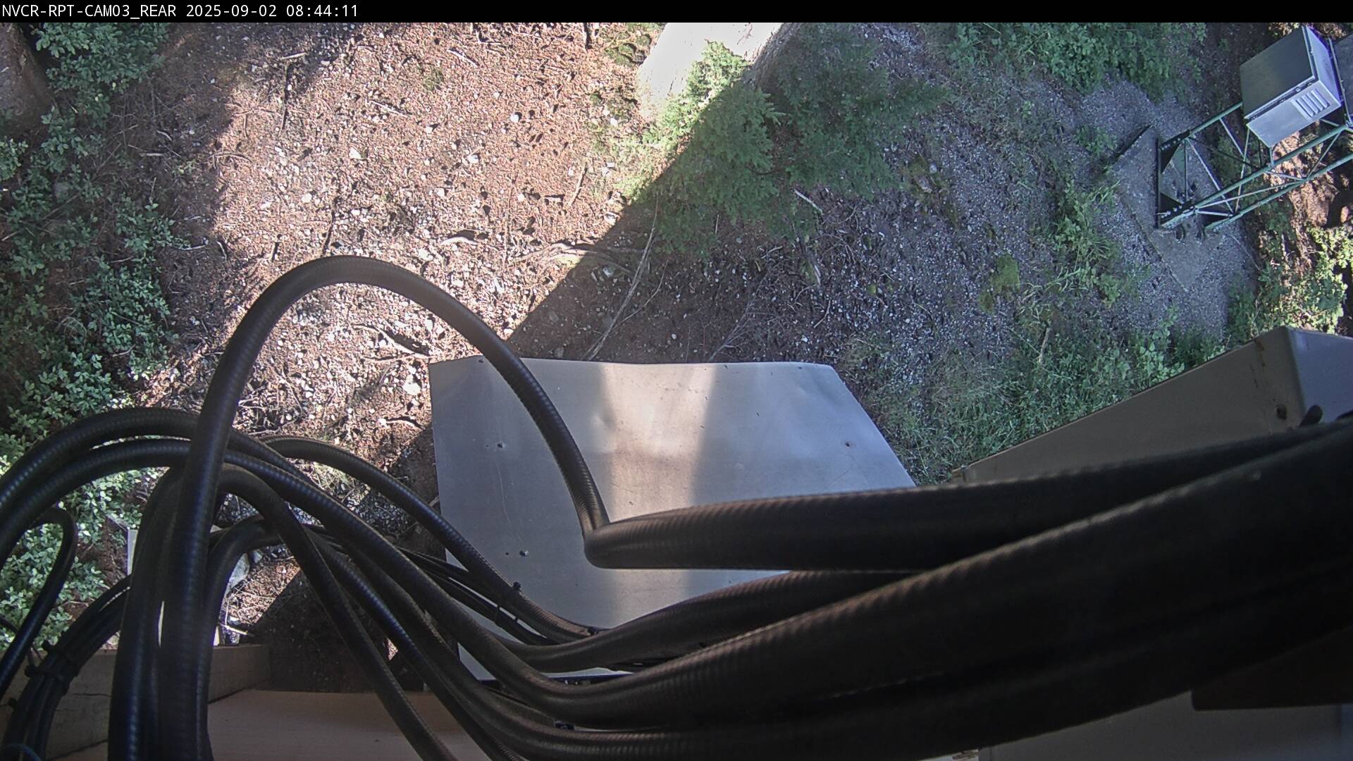Web Cam History Image - 359