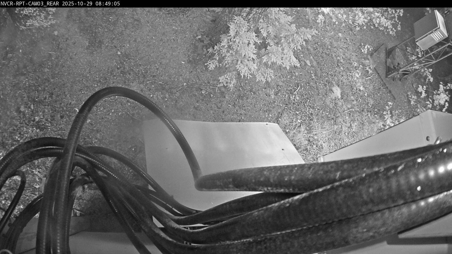 Web Cam History Image - 359