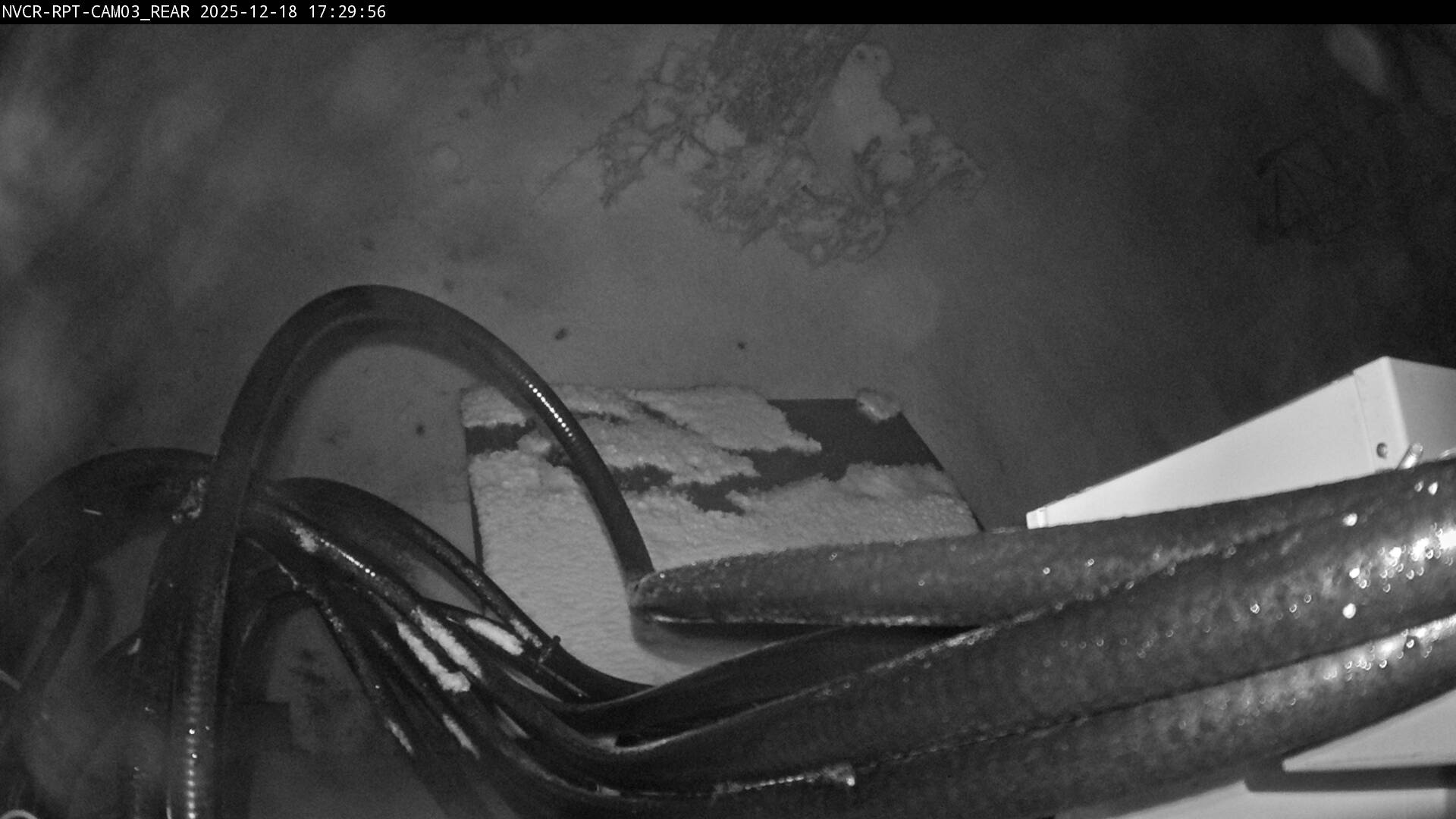 Web Cam History Image - 359