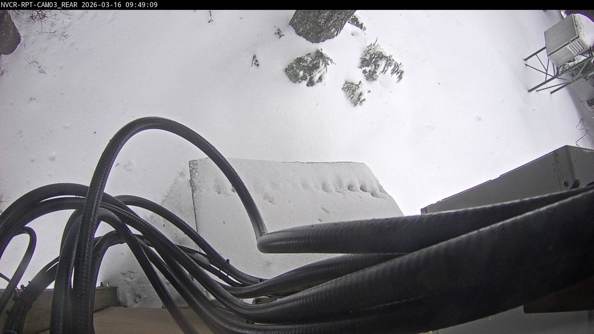 Web Cam History Image - 360