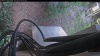 Web Cam Image - Wed, 08/19/2026 5:24am PDT