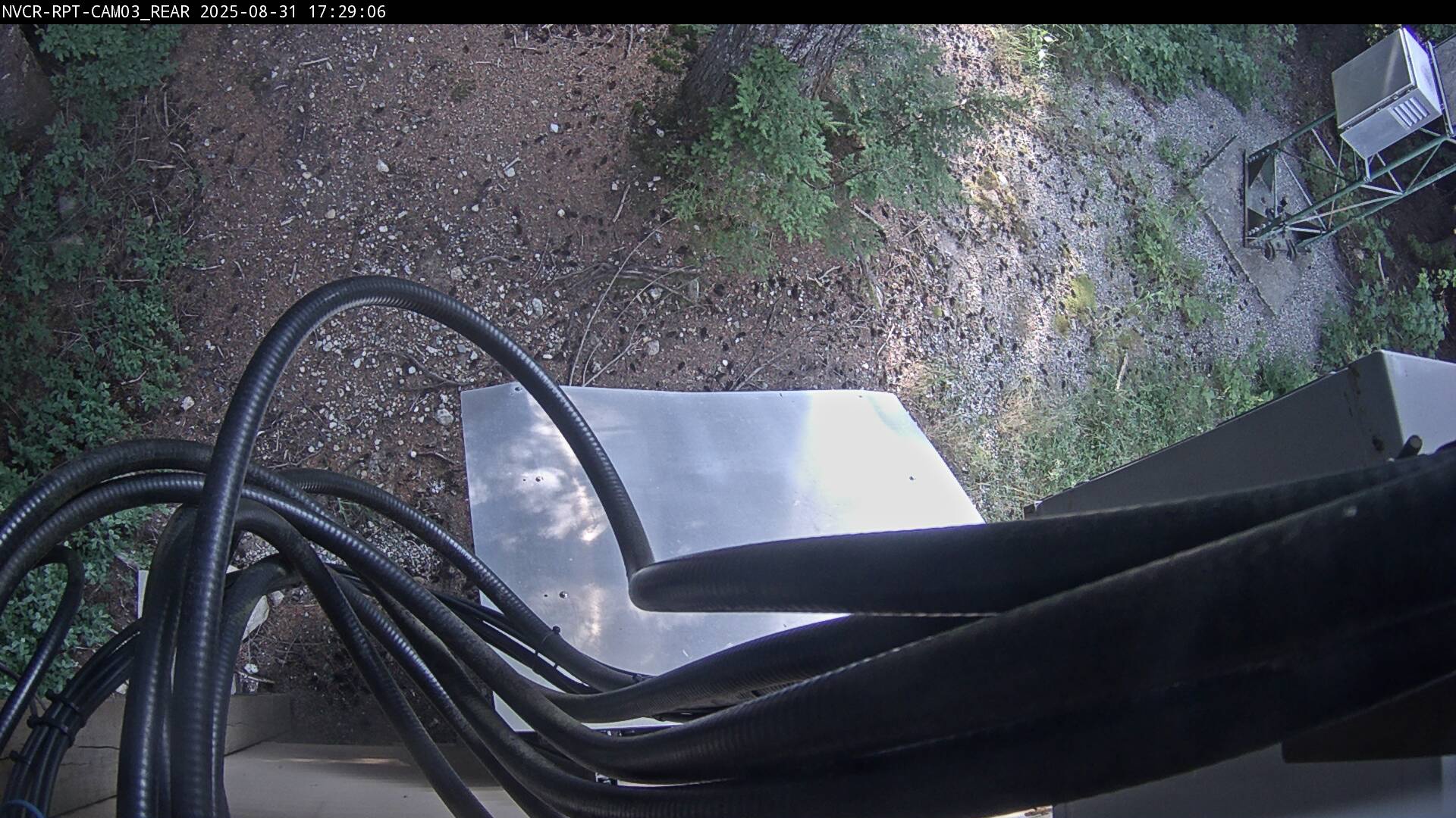 Web Cam History Image - 37