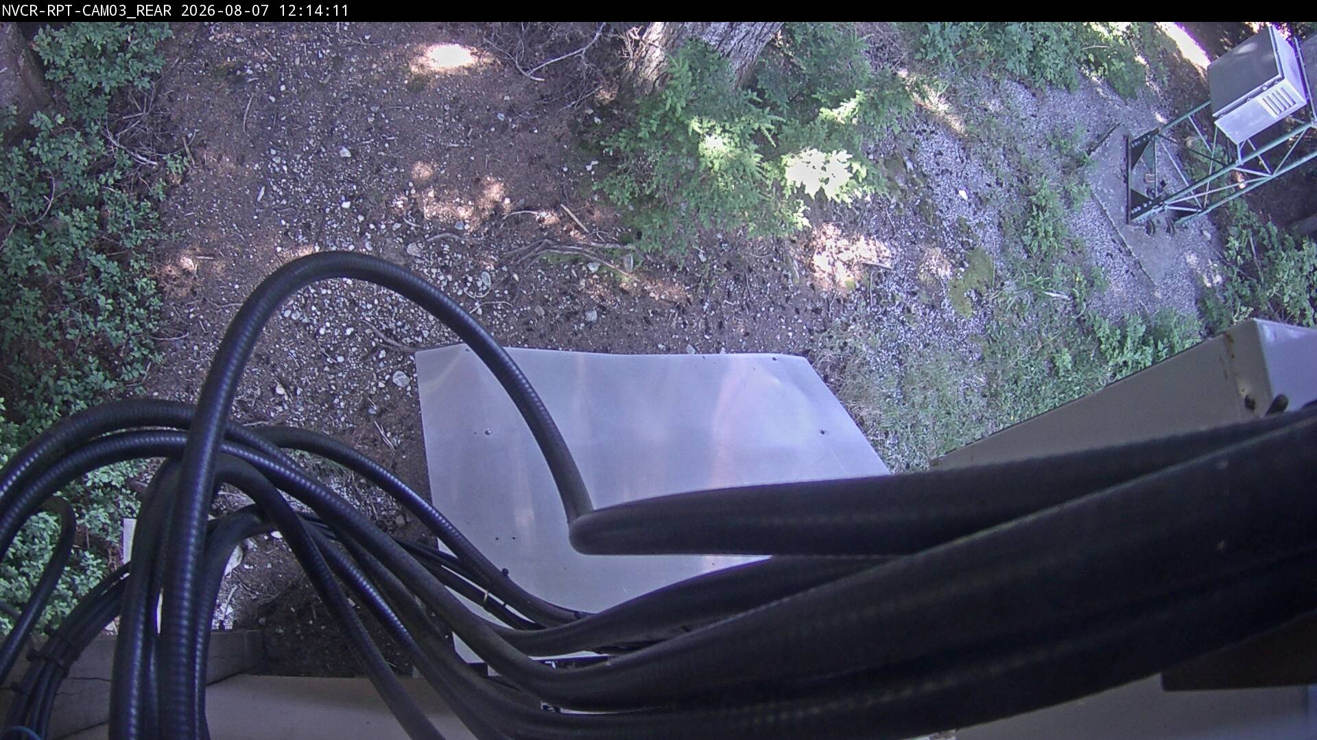 Web Cam History Image - 37