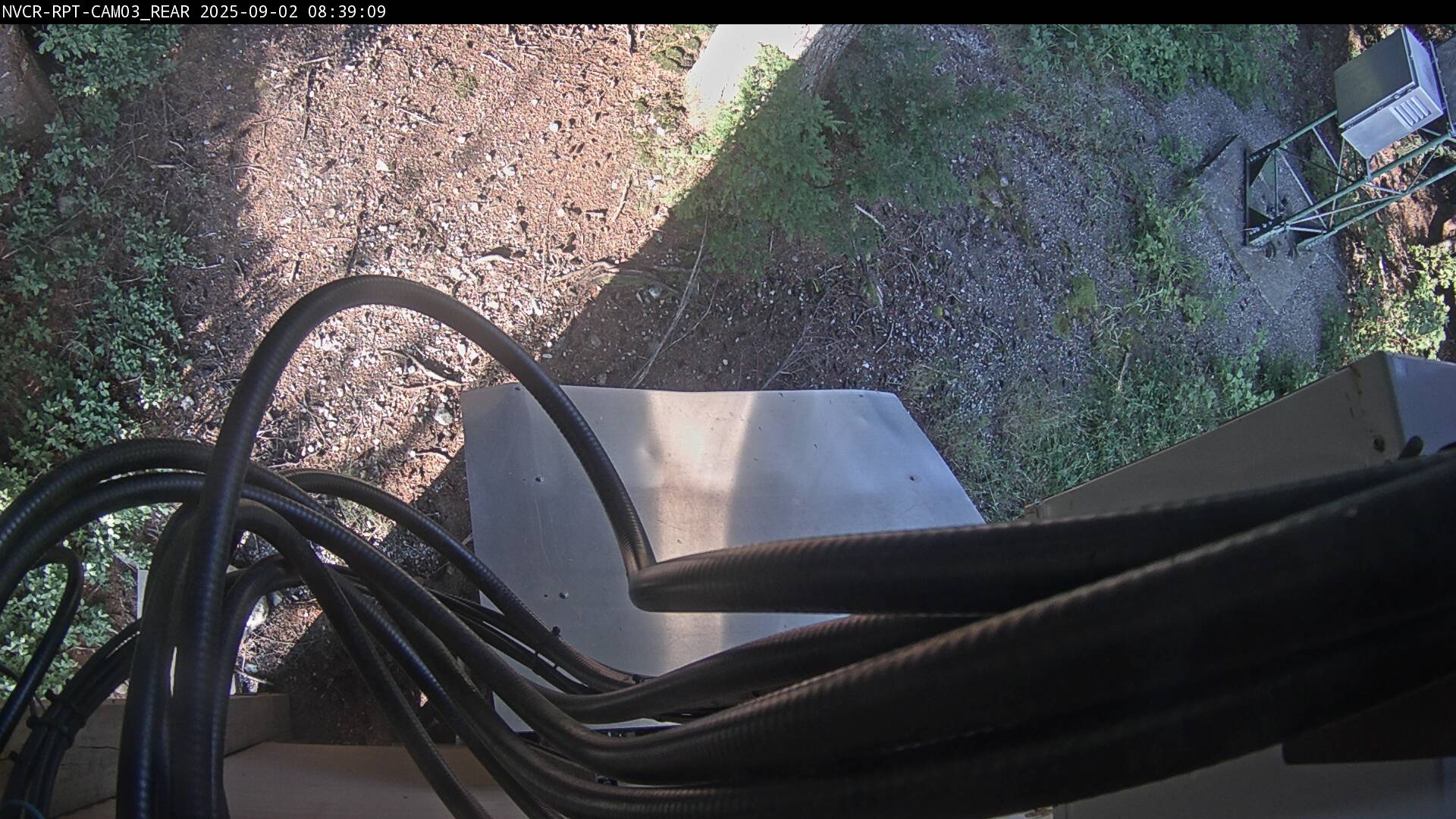 Web Cam History Image - 361