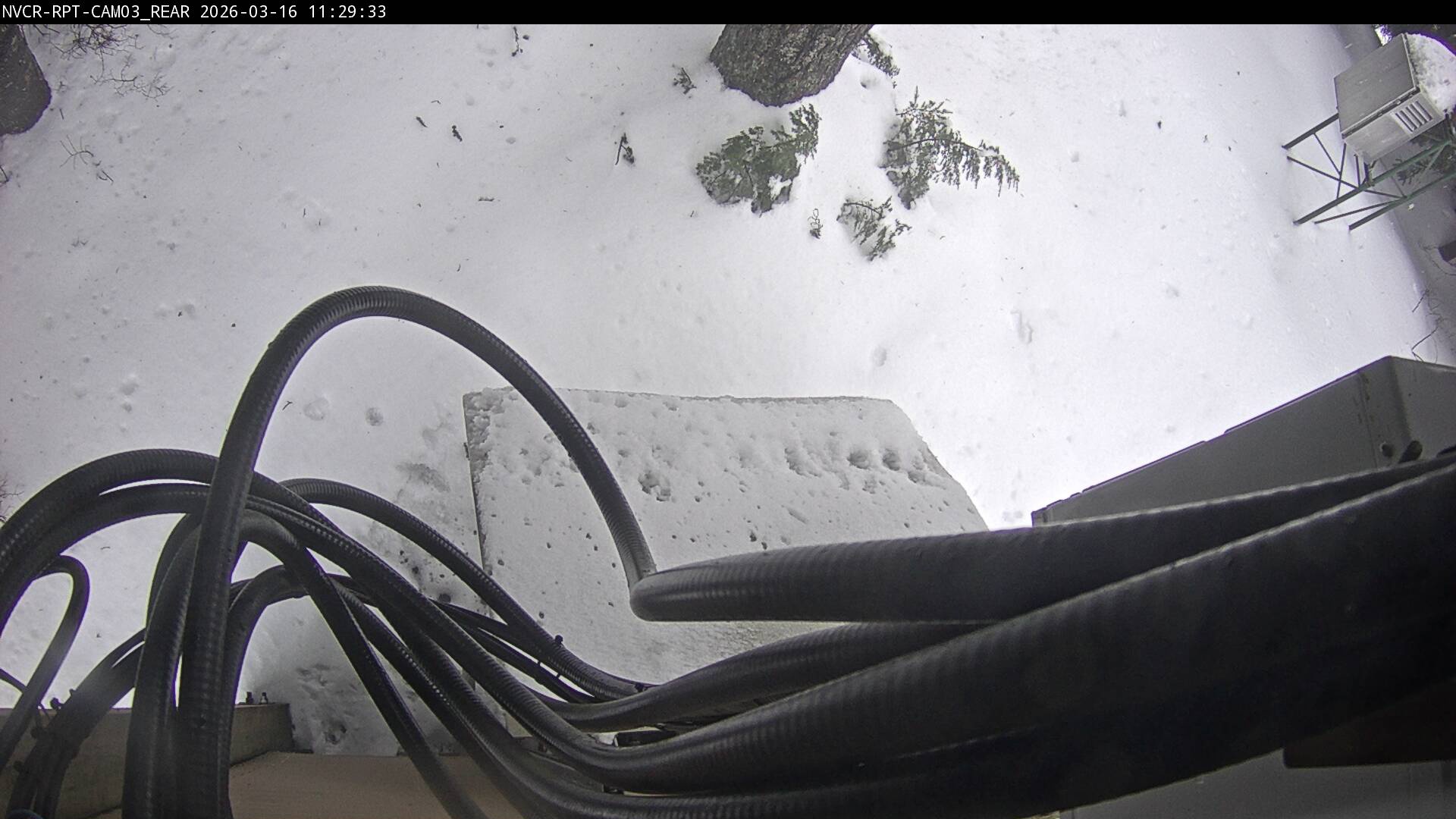 Web Cam History Image - 361