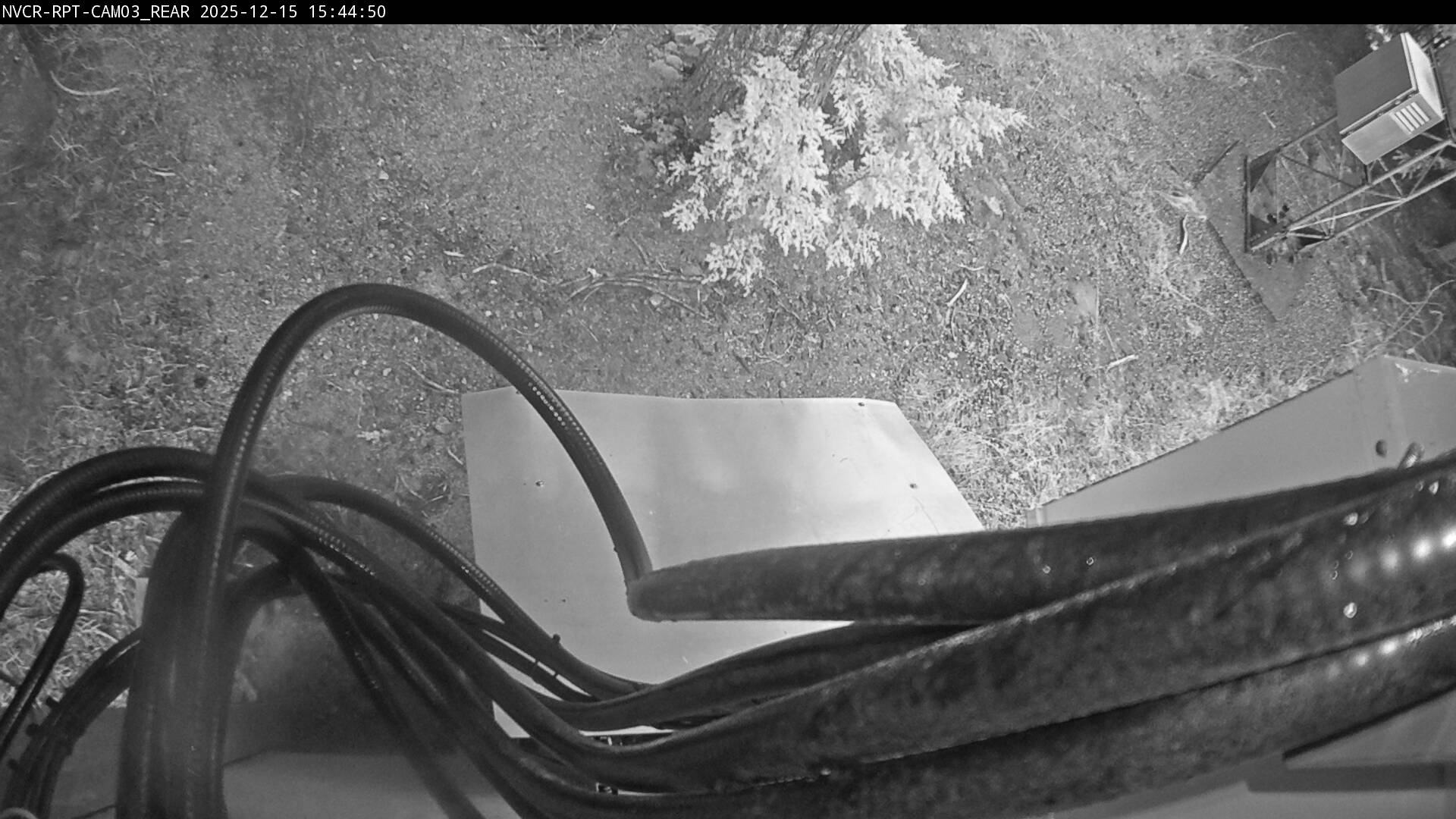 Web Cam History Image - 363