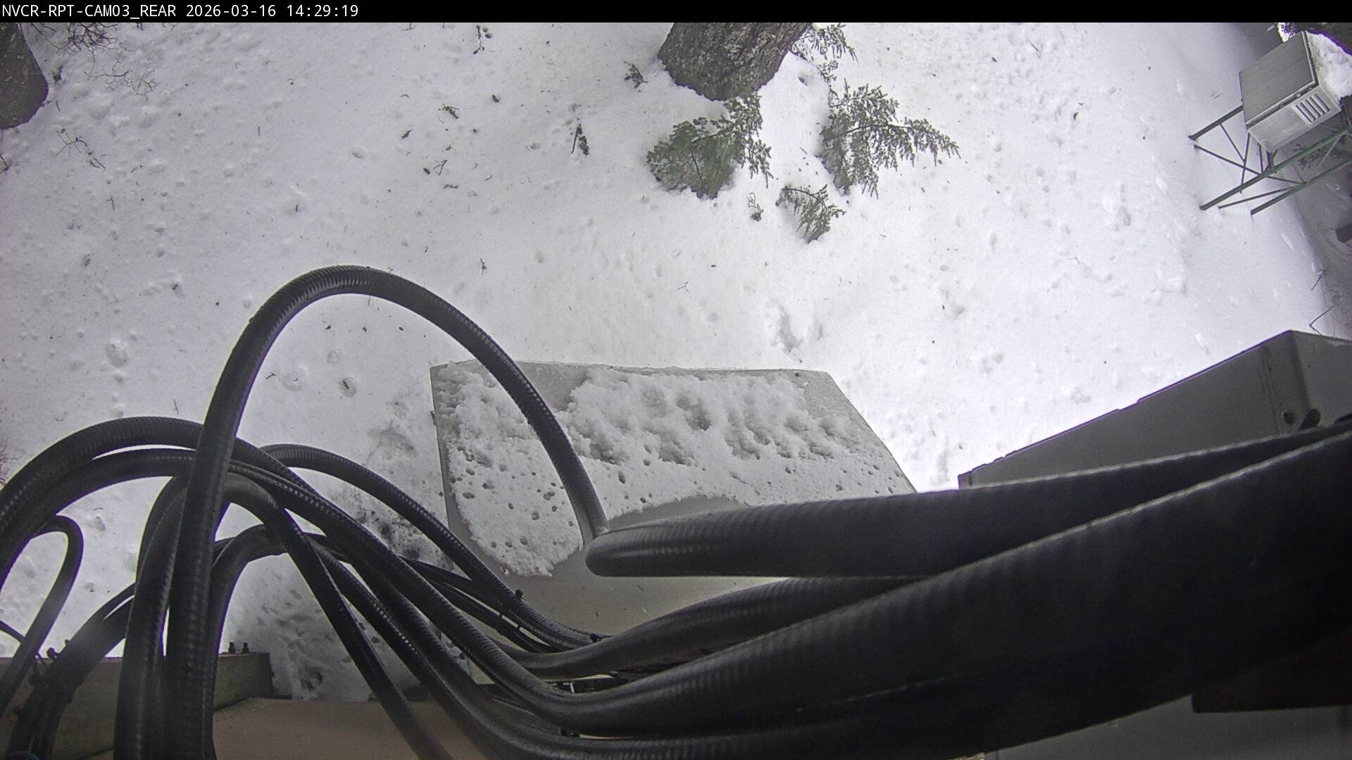 Web Cam History Image - 363