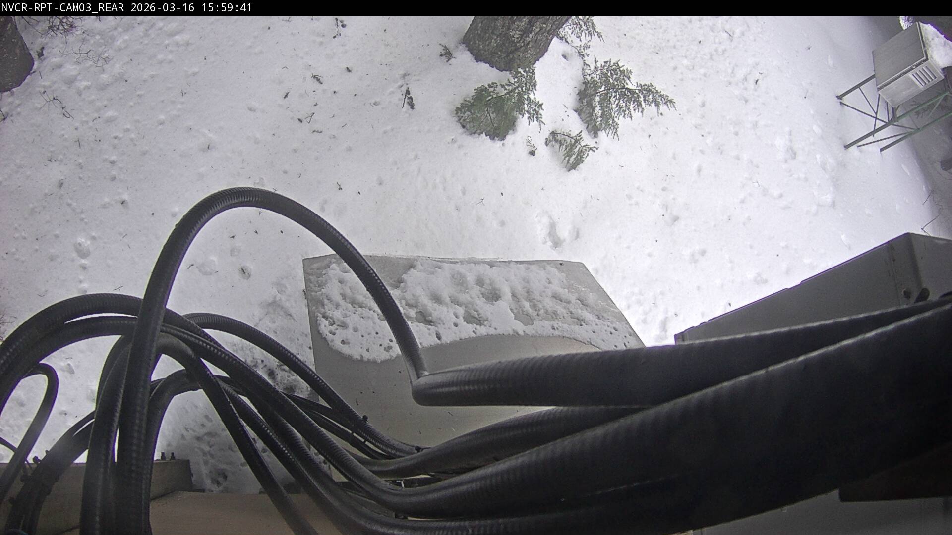 Web Cam History Image - 364