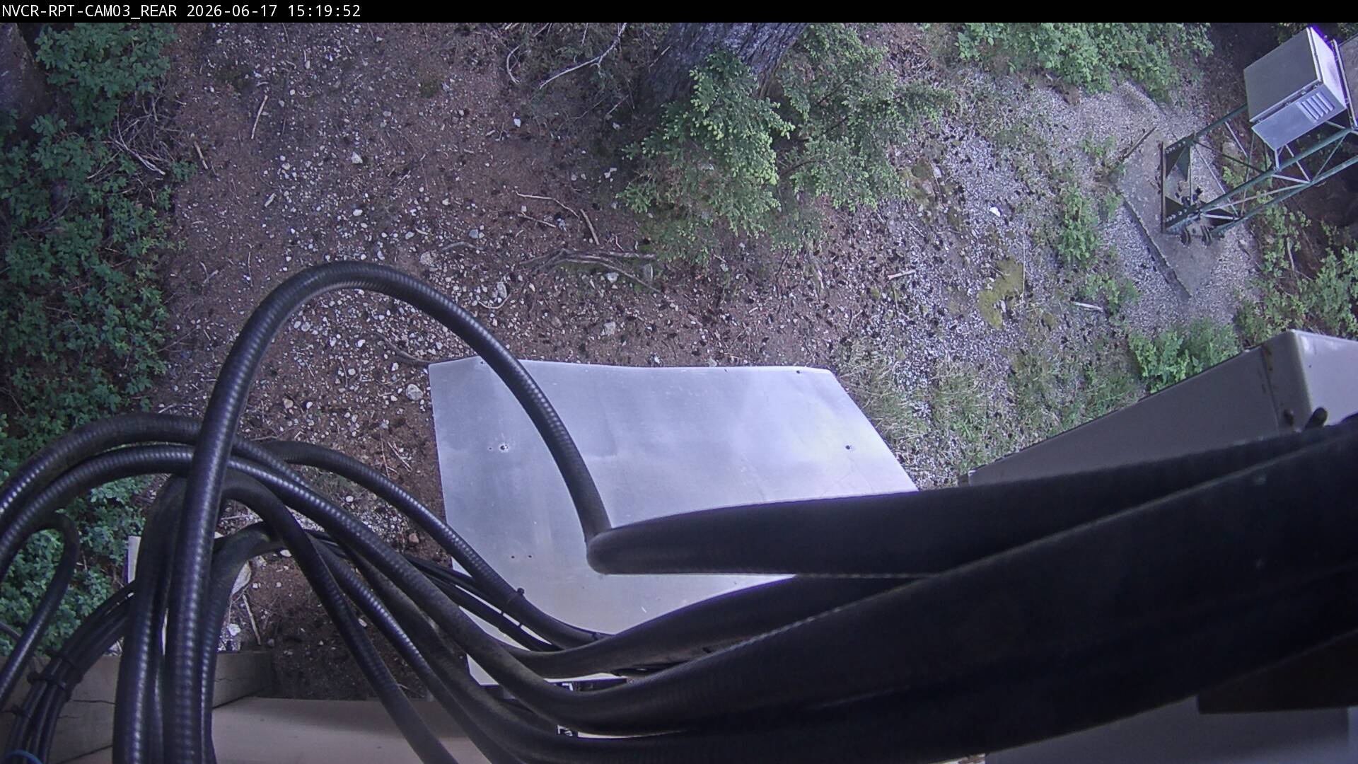 Web Cam History Image - 364