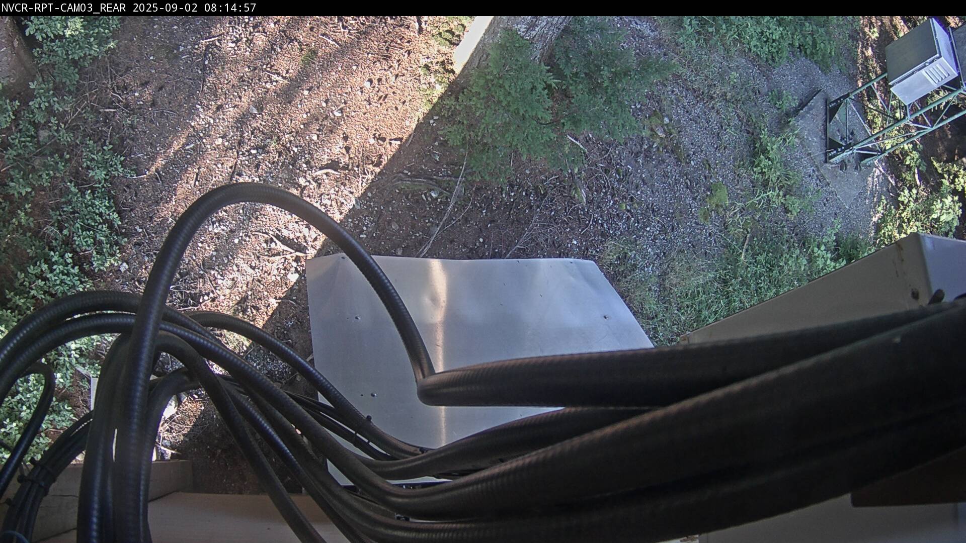 Web Cam History Image - 365