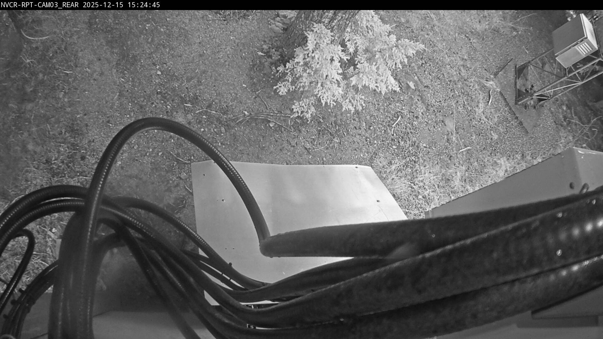 Web Cam History Image - 365