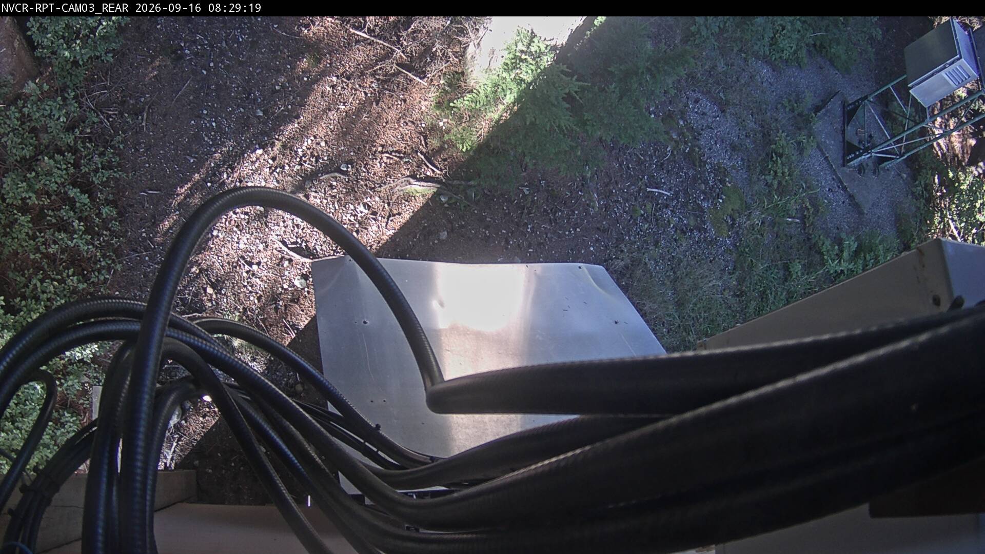 Web Cam History Image - 365