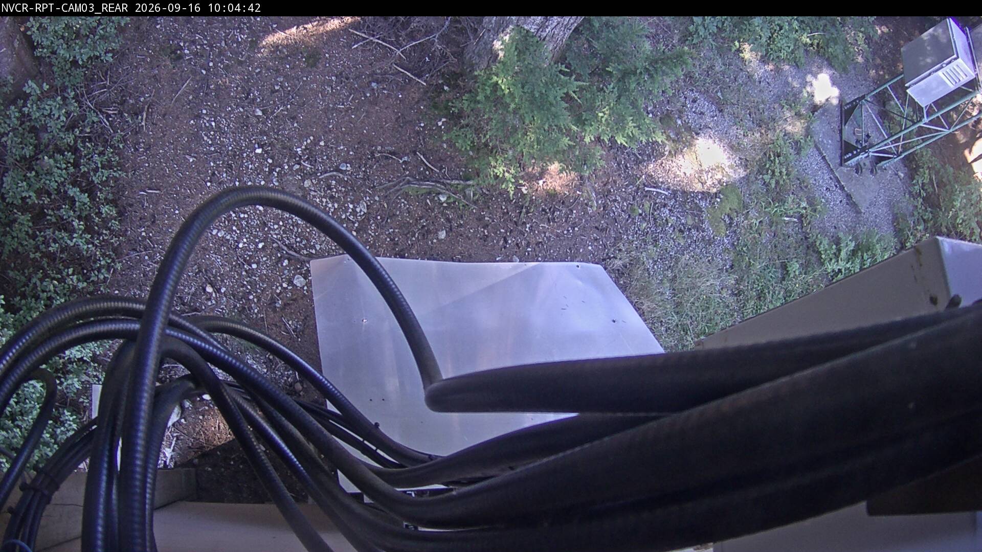 Web Cam History Image - 367