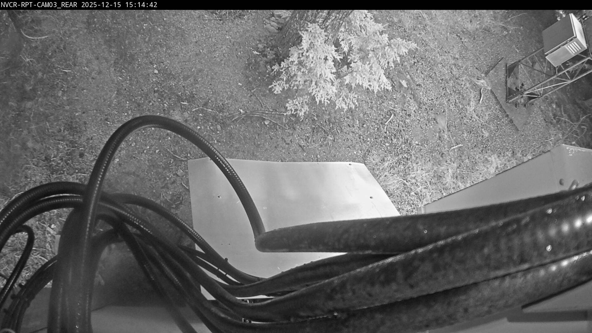 Web Cam History Image - 368