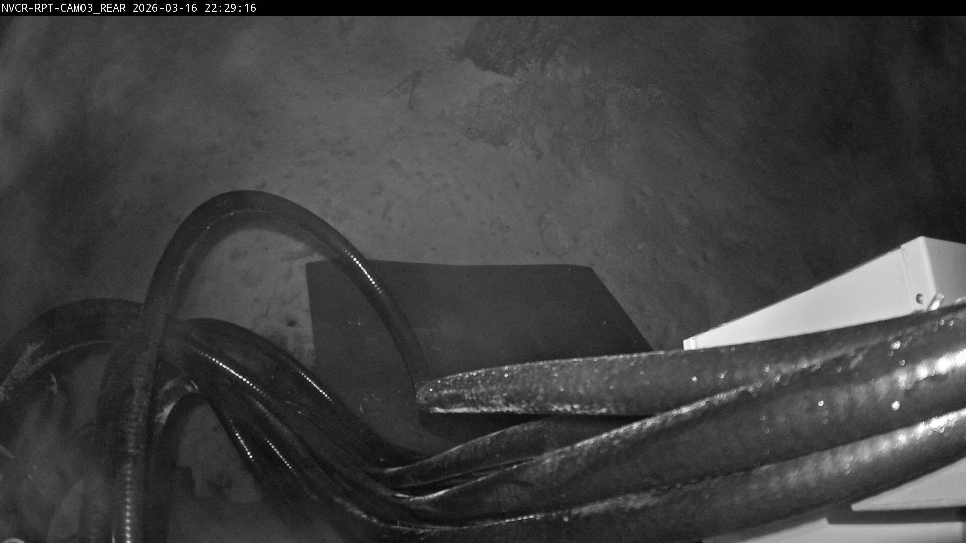 Web Cam History Image - 368