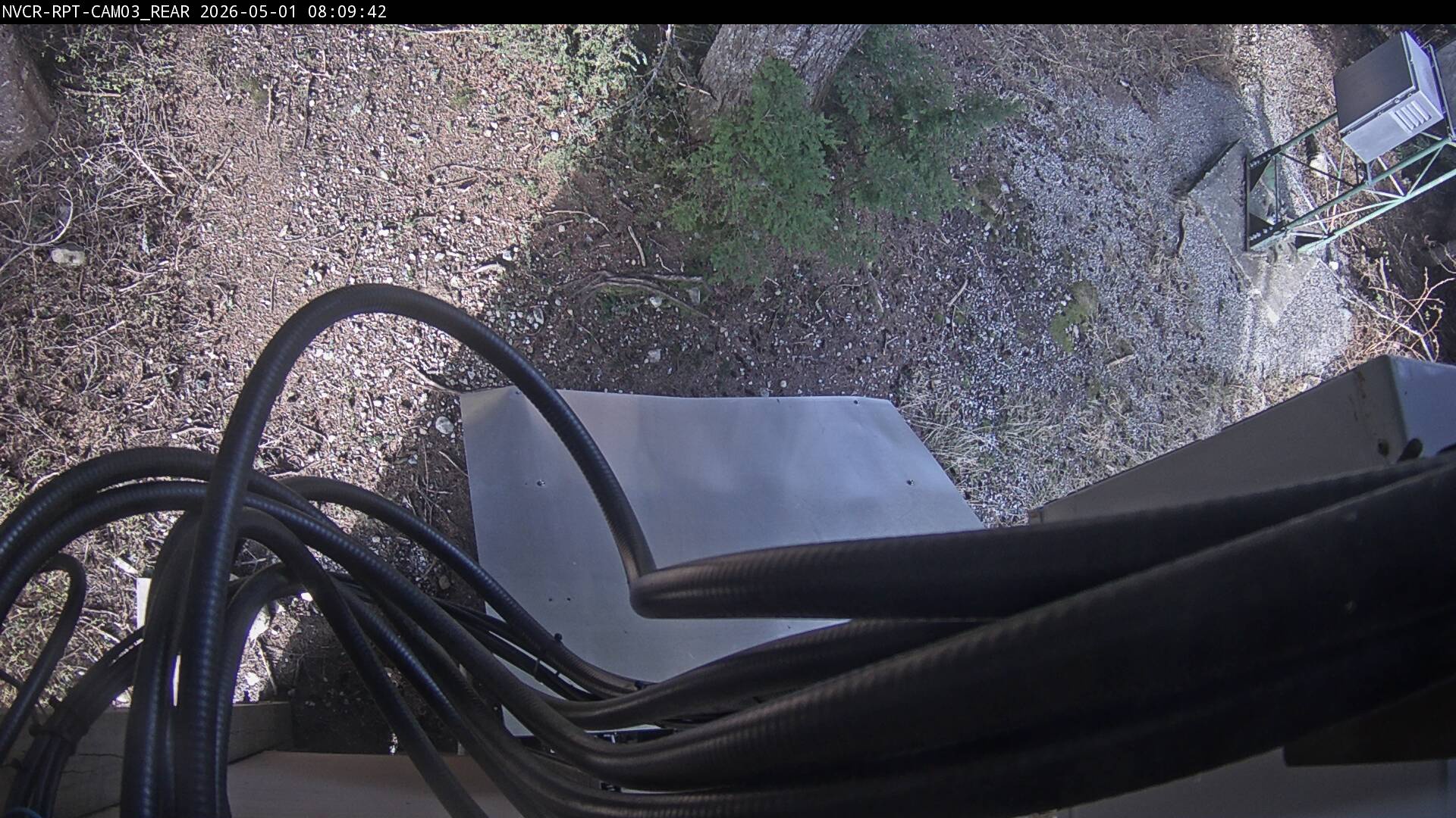 Web Cam History Image - 369