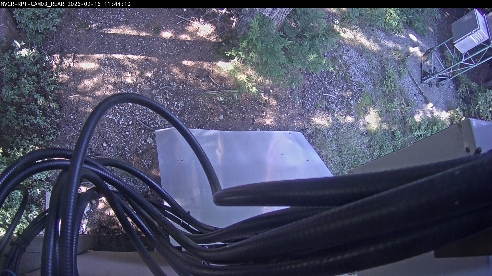 Web Cam History Image - 369