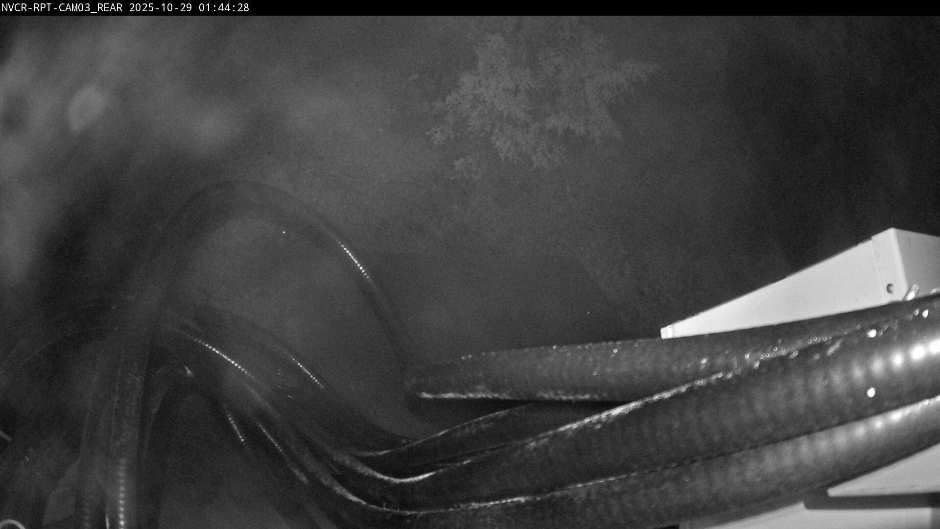 Web Cam History Image - 370