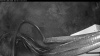 Web Cam Image - Wed, 05/13/2026 4:04am PDT