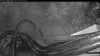 Web Cam Image - Tue, 10/13/2026 6:39am PDT
