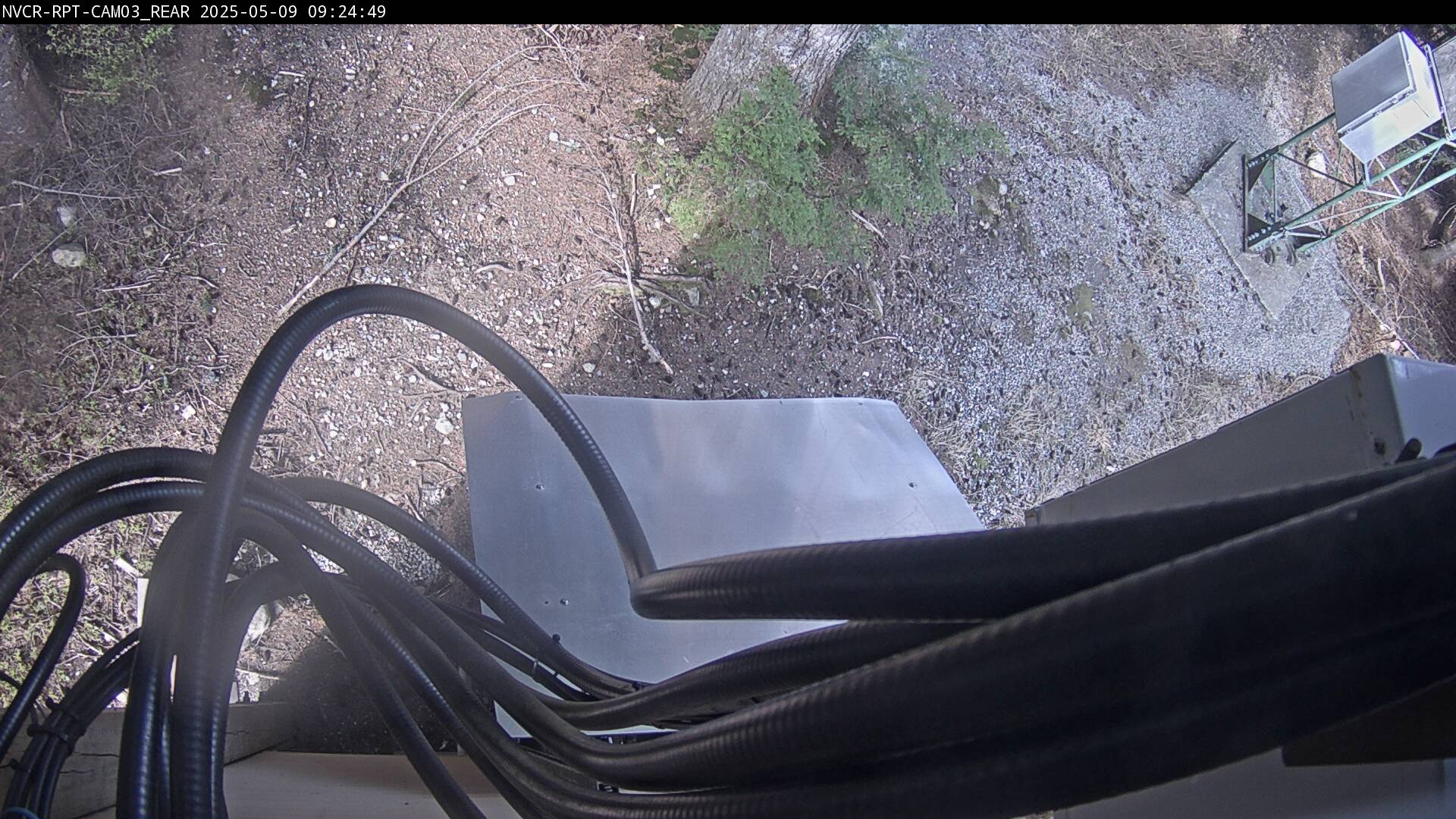 Web Cam History Image - 38