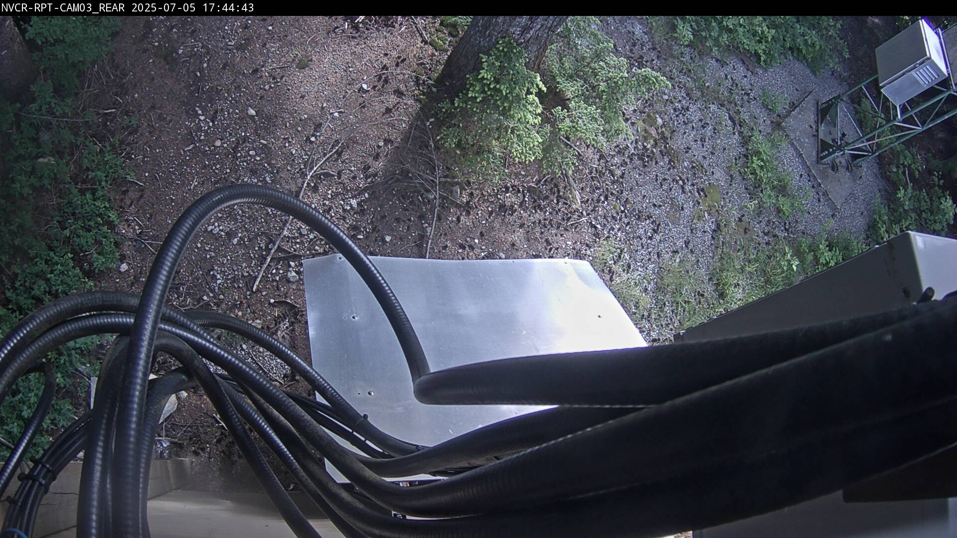 Web Cam History Image - 38