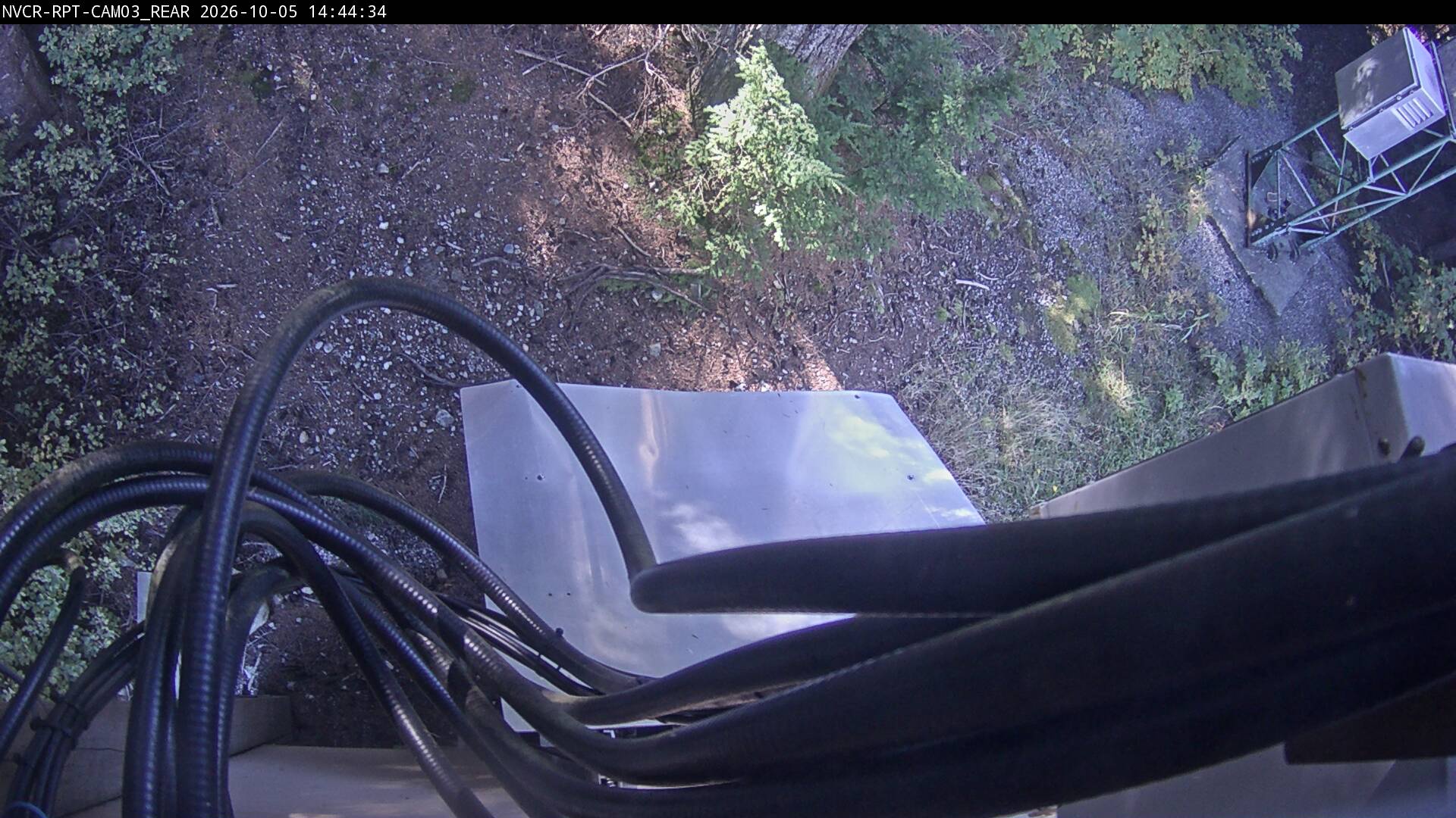 Web Cam History Image - 38