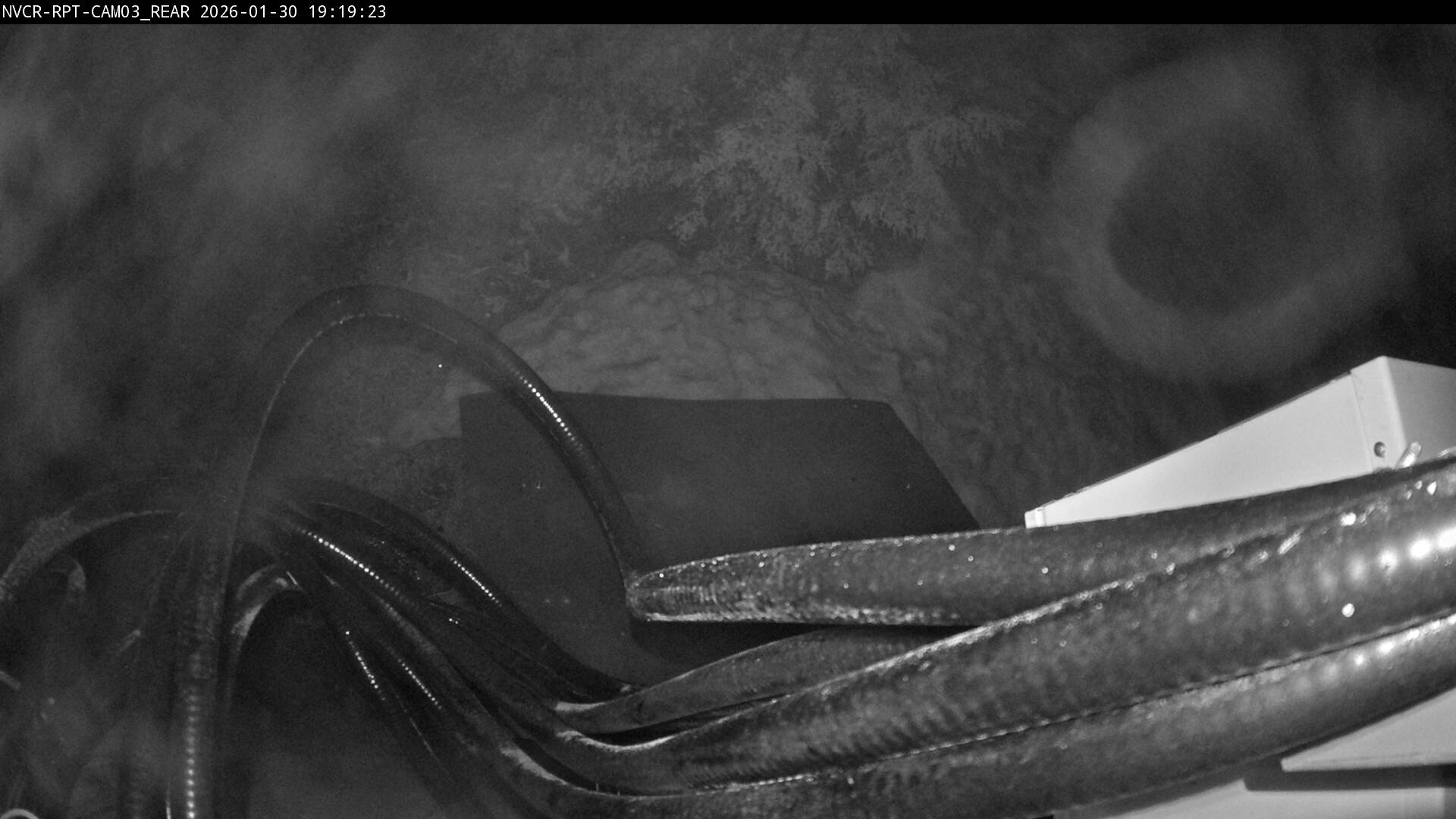 Web Cam History Image - 371