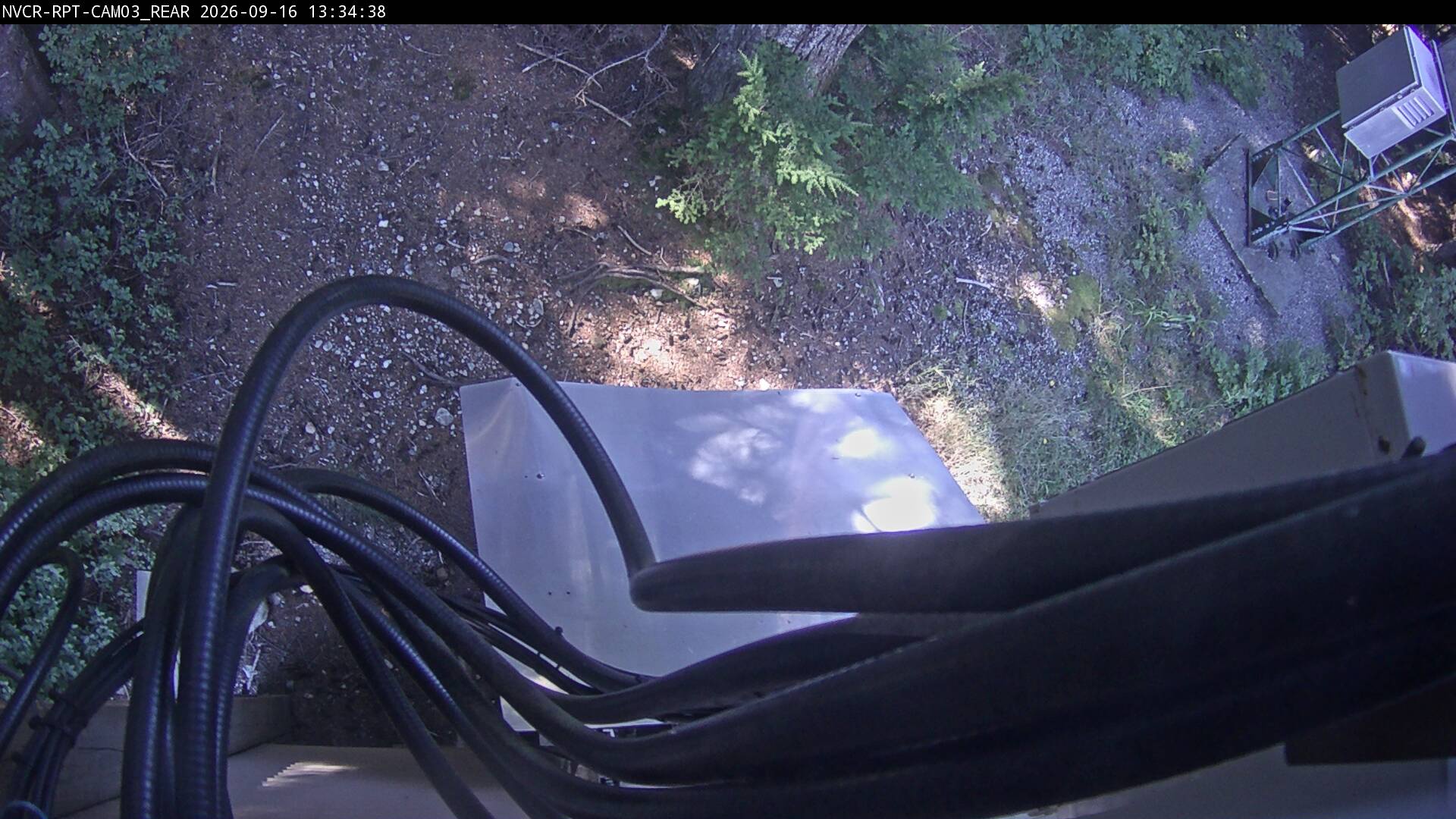 Web Cam History Image - 371