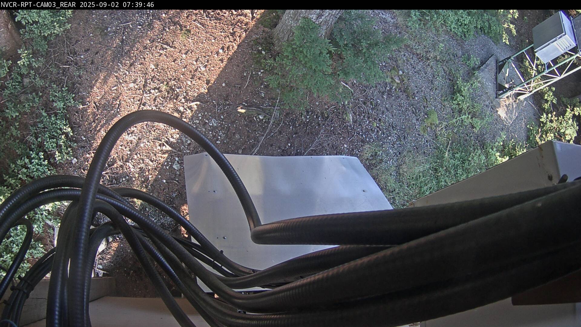 Web Cam History Image - 372