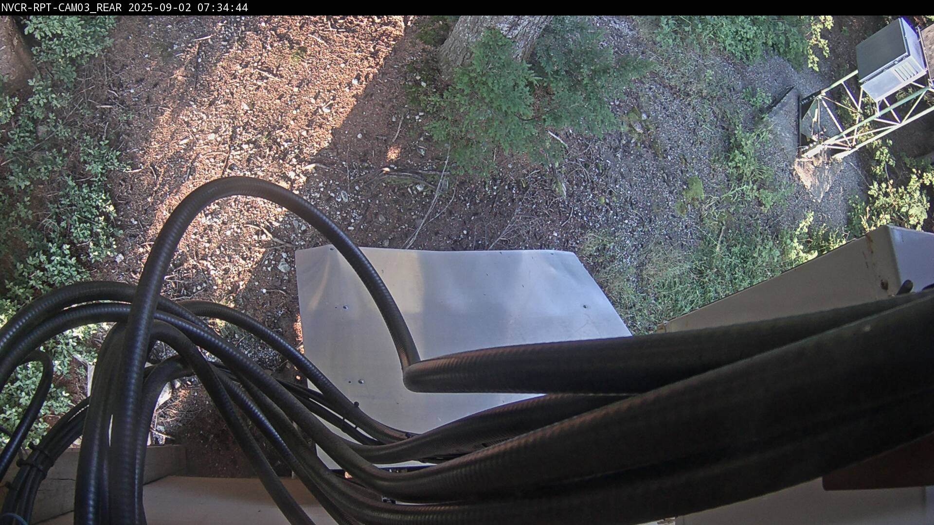 Web Cam History Image - 373