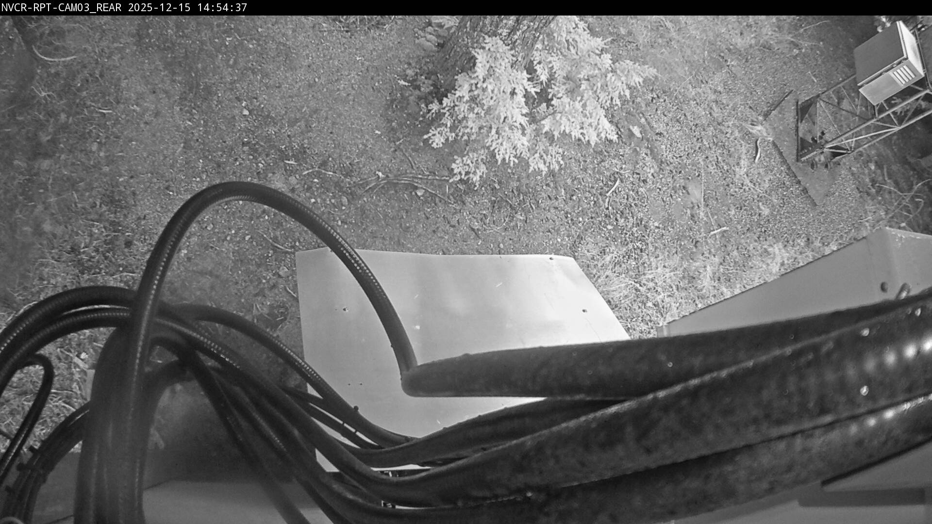 Web Cam History Image - 373