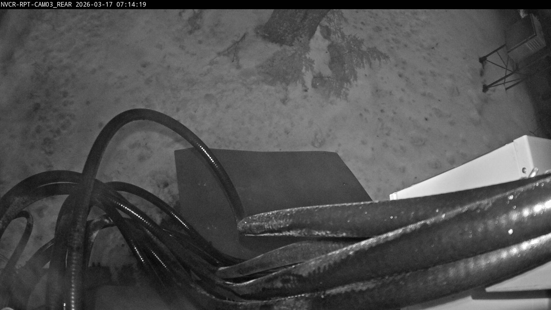 Web Cam History Image - 373